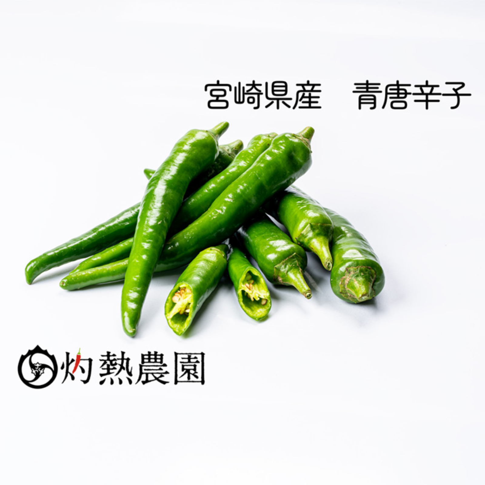 オフライン販売 韓国産生青唐辛子 (辛口)500g | solinvet.com