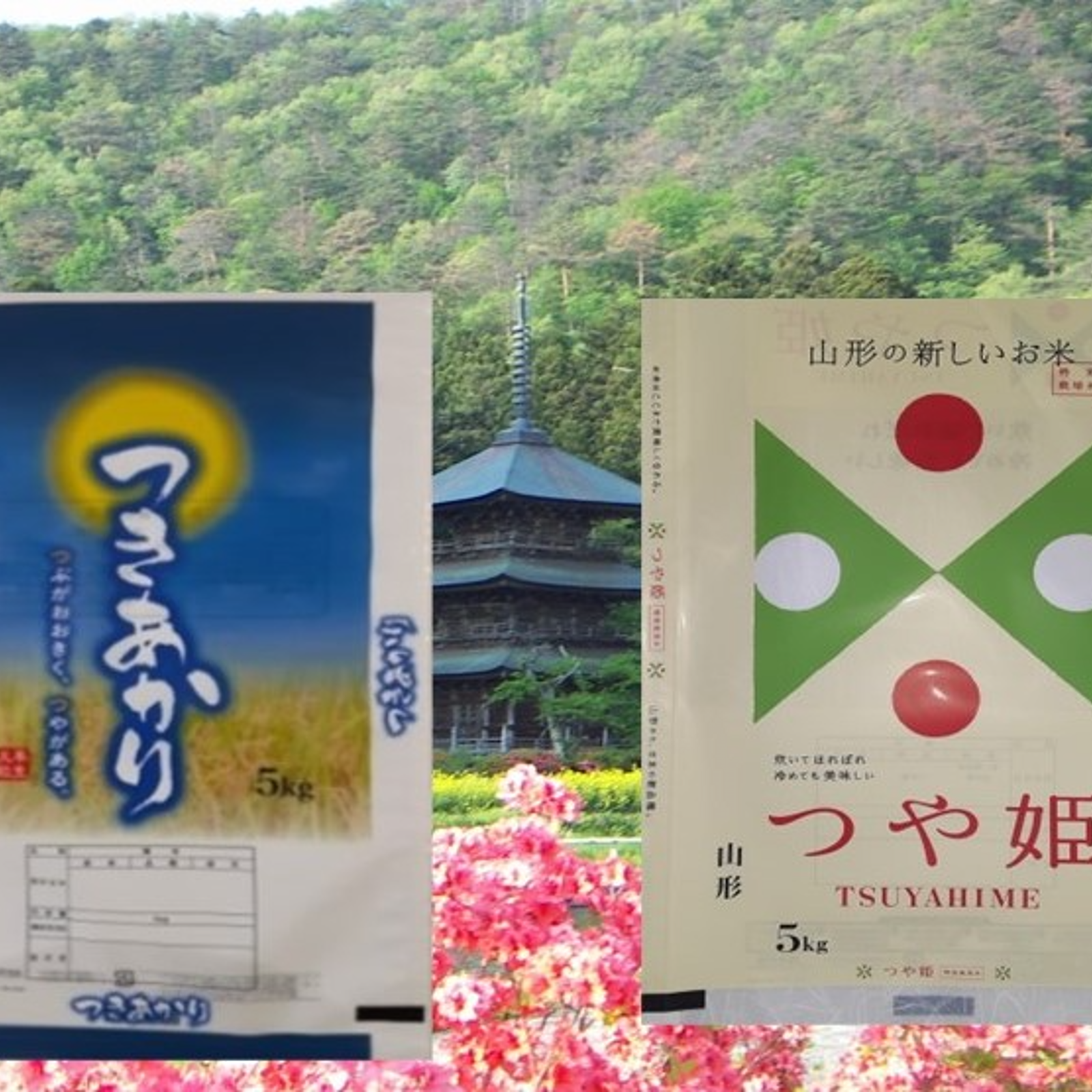 愚直な逸品” 精米2品種食べ比べセット10㎏（つや姫5㎏＋つきあかり5 