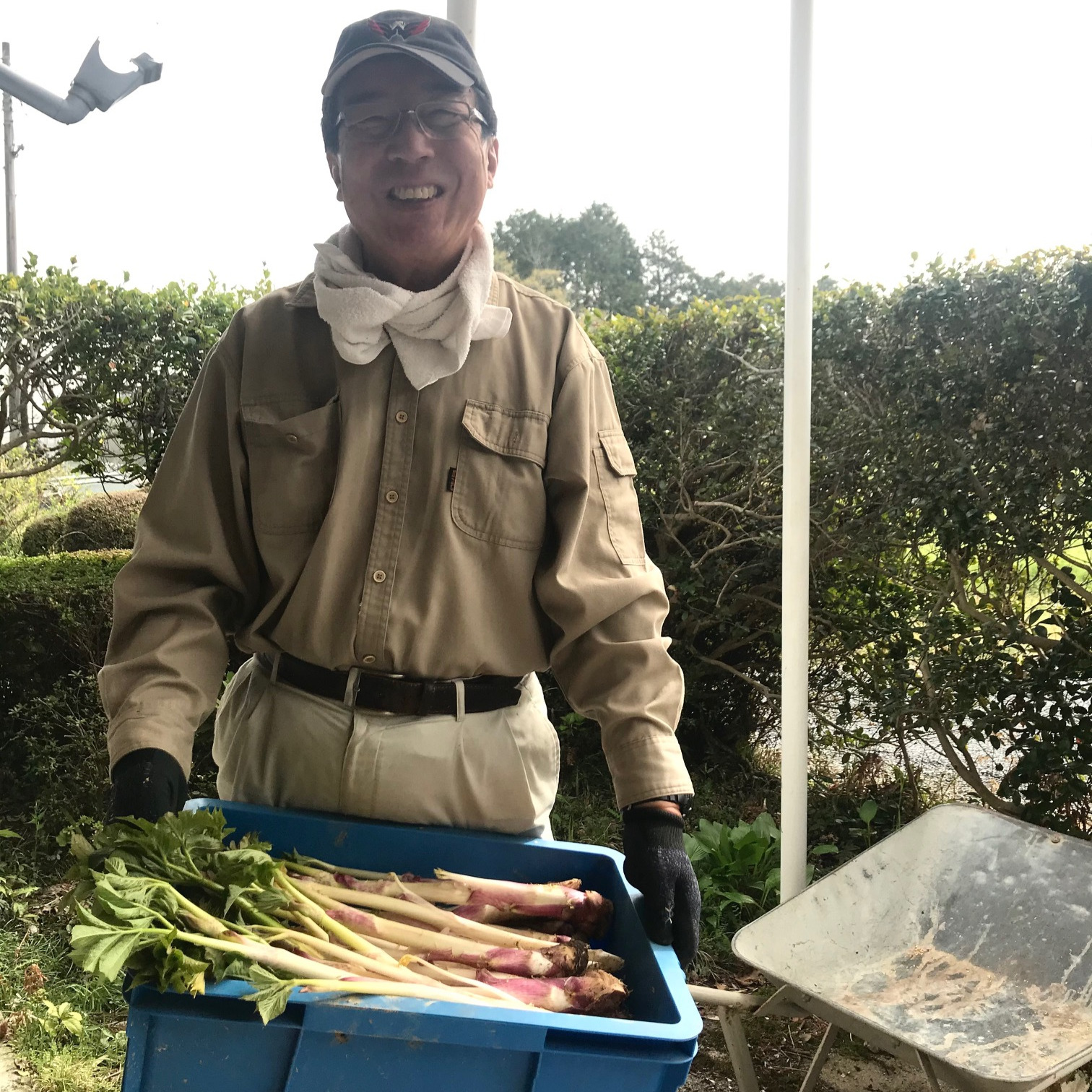 ※kantora様ご連絡専用ページ　山ウド ※kantora様ご連絡専用ページ　山ウド