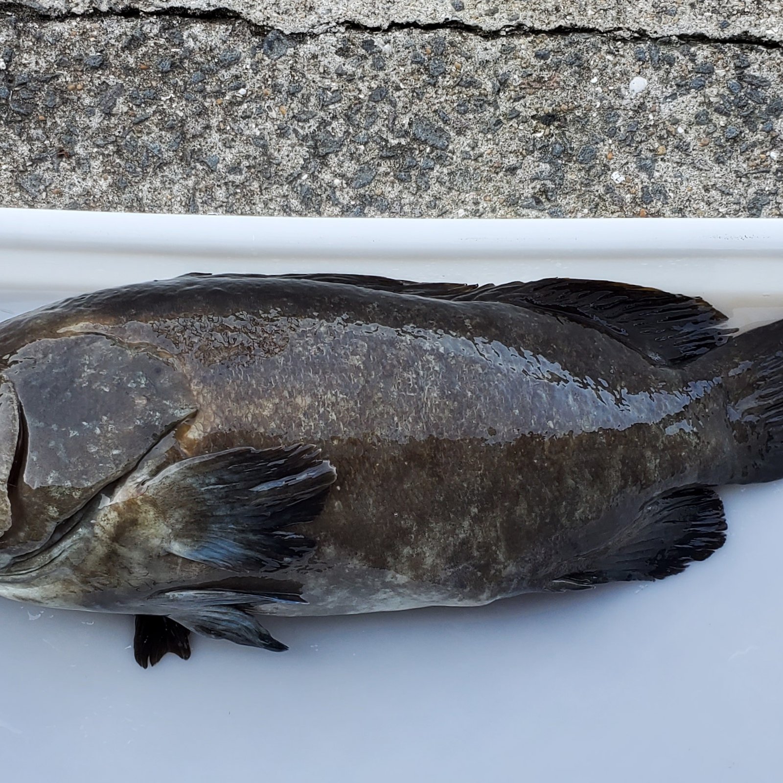 91e5d1c0b8553cb53f4e9f25b5b96a