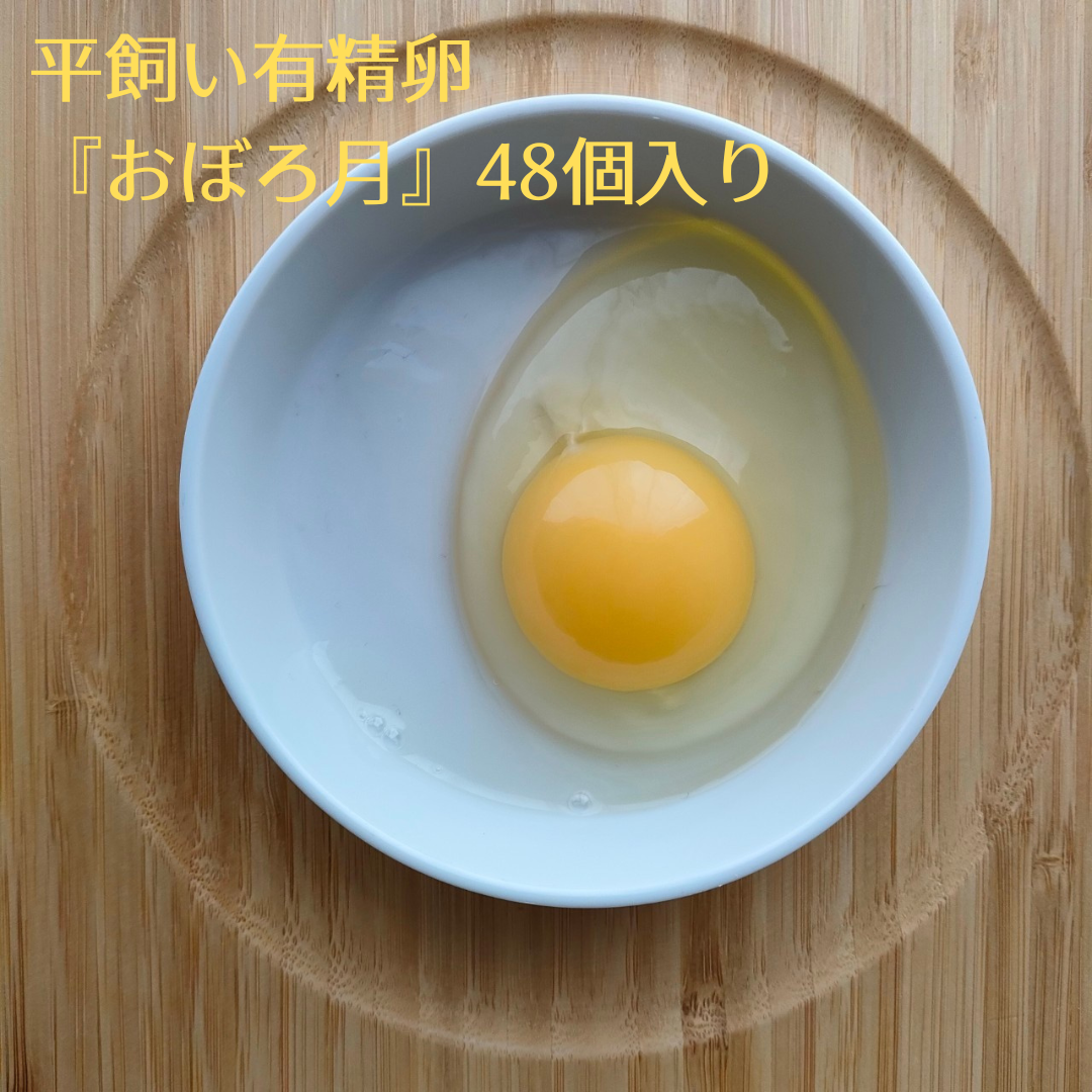 平飼い有精卵 おぼろ月 6個入り×8パック 48個入（45個+割れ補償3個
