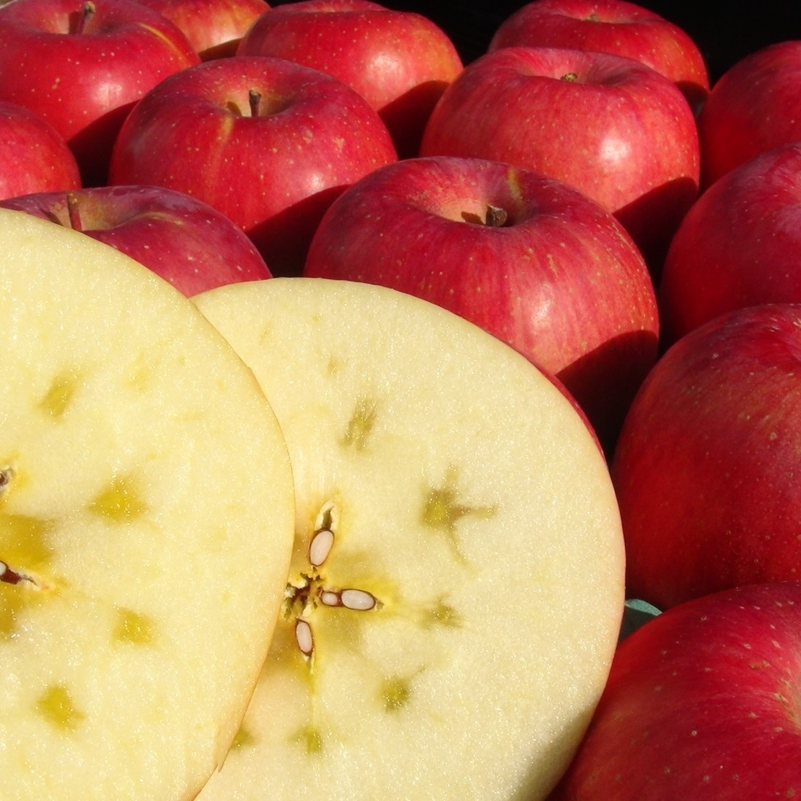 レギュラー品】サンふじ 約10kg 長野県産りんご | 果物/りんご 産直