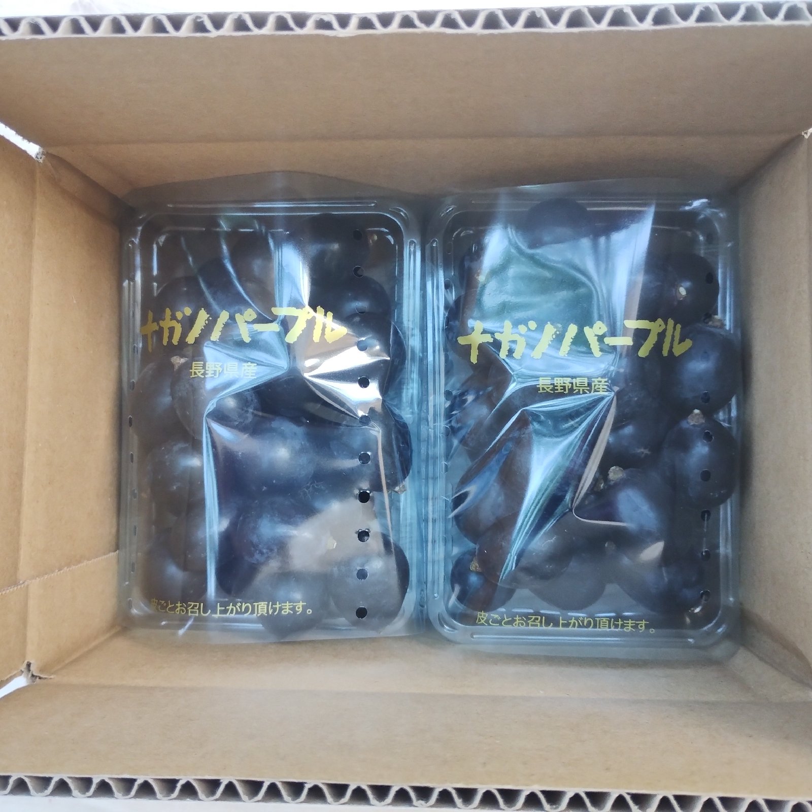 ナガノパープル粒パック 2.1kg ｜ 果物/ぶどう 産直アウル 農家