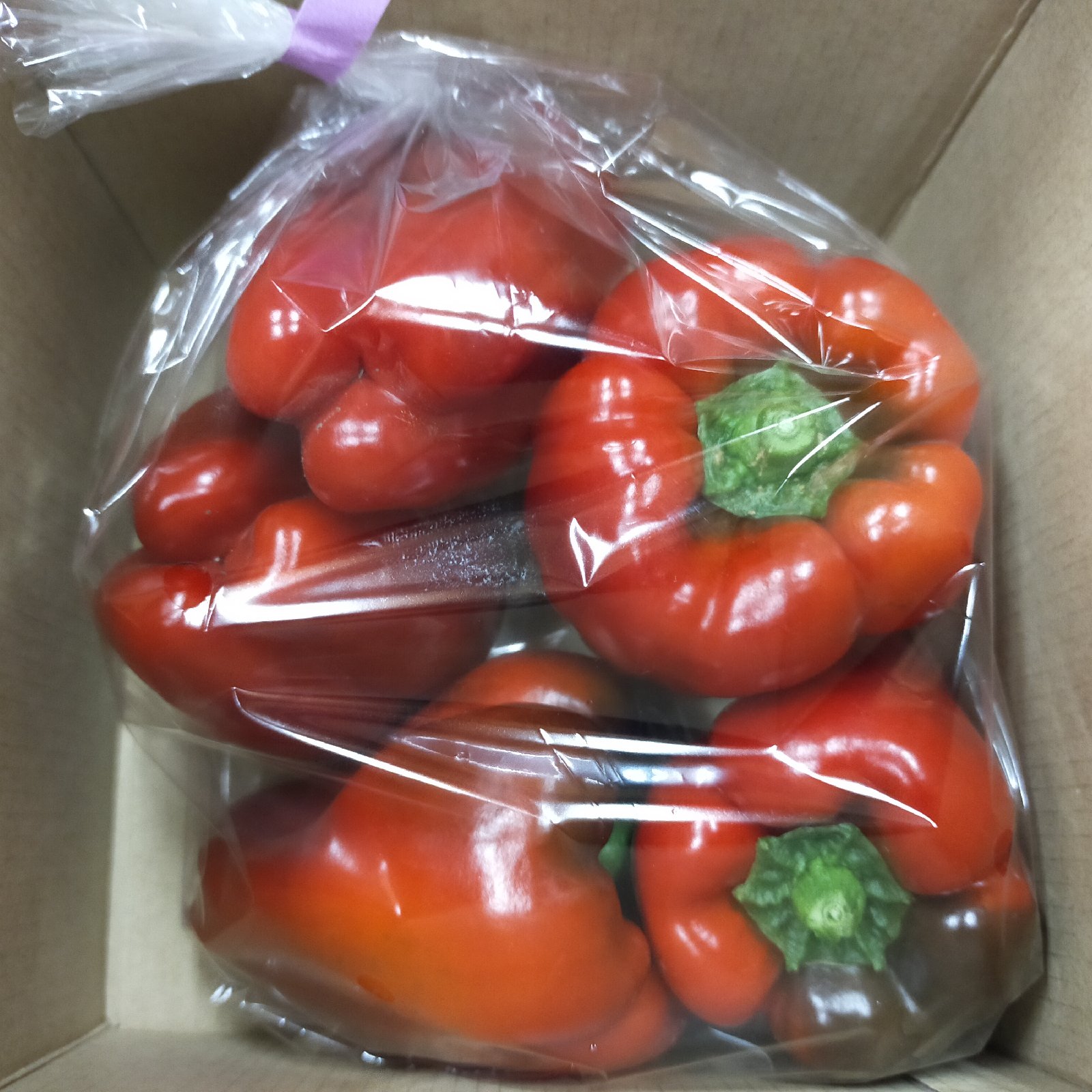 完熟赤ピーマン 300g ｜ 野菜/ピーマン 産直アウル 農家・漁師など生産
