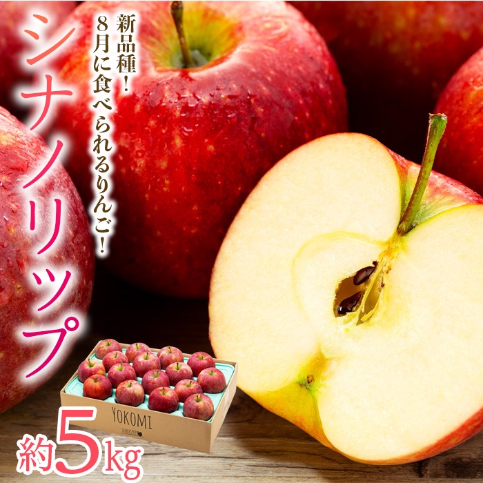 りんご【シナノリップ】約5kg 2026年度予約受付中 新品種 長野県限定