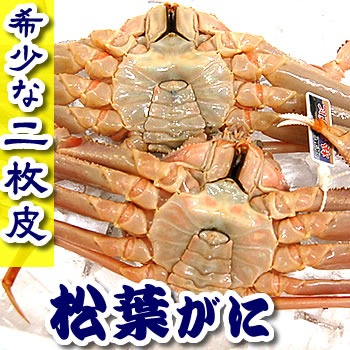 ボイル松葉蟹5枚セット