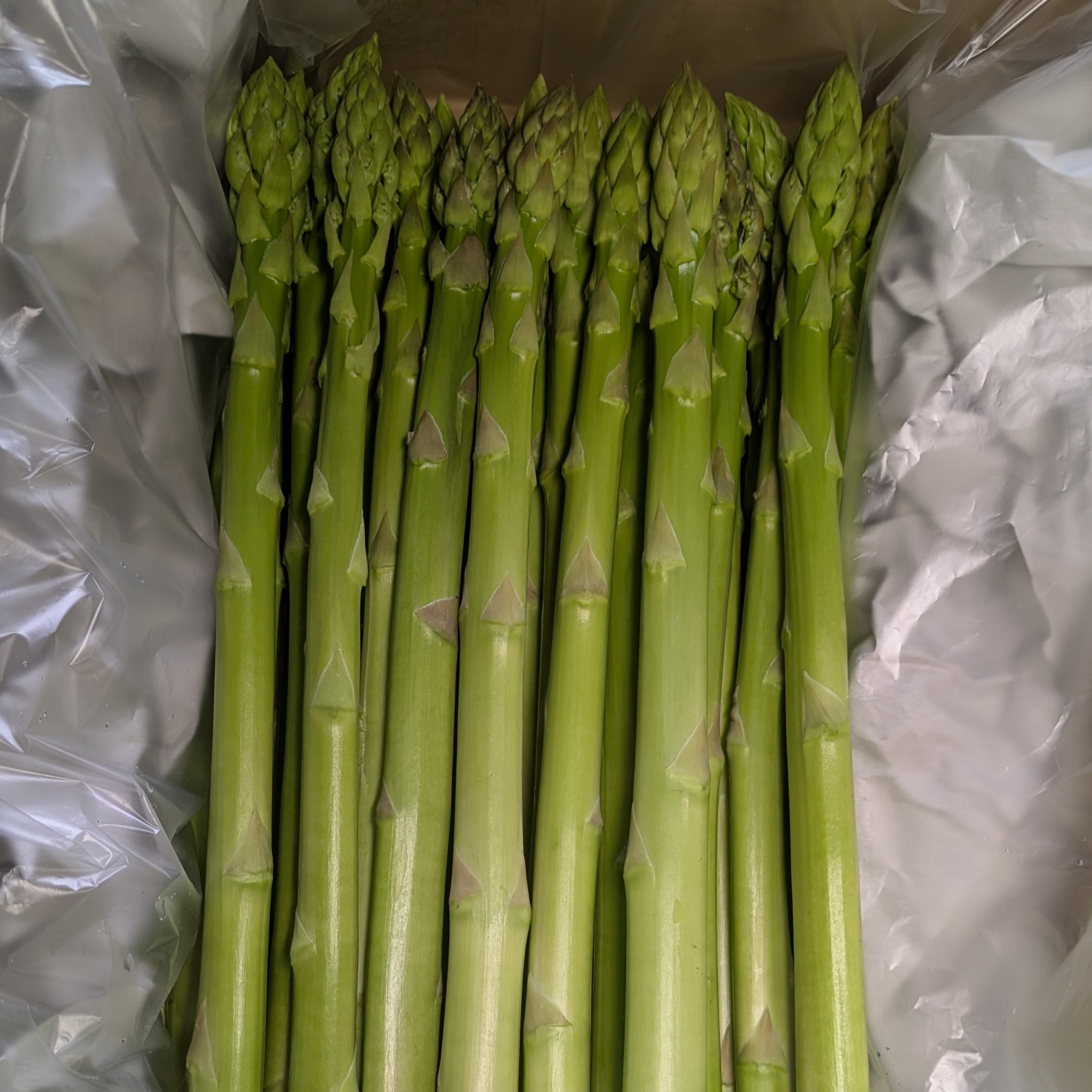 うえの農園の朝採りグリーンアスパラガス サイズ：L 500g ｜ 野菜