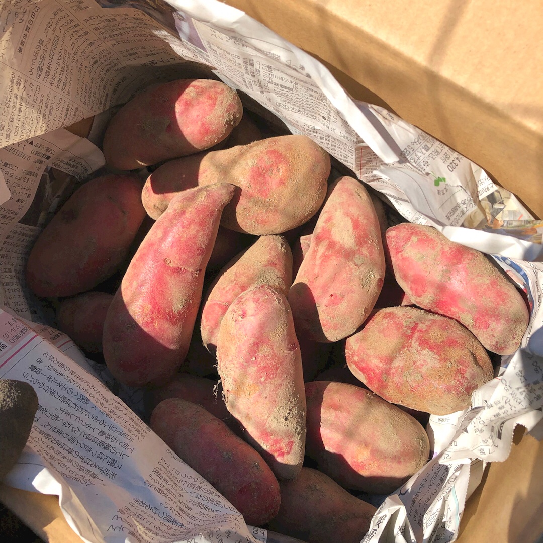 幻の　じゃがいも　ジャガイモ　16 10kg”農家の中でも『幻』のじゃがいも！世界一美味しいじゃがいも