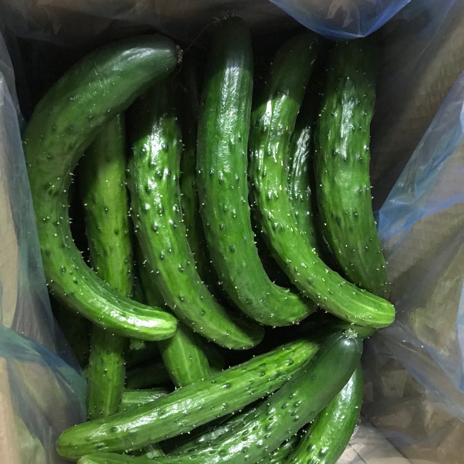 935317c23bdb7ed2a60476f9b00cf5  