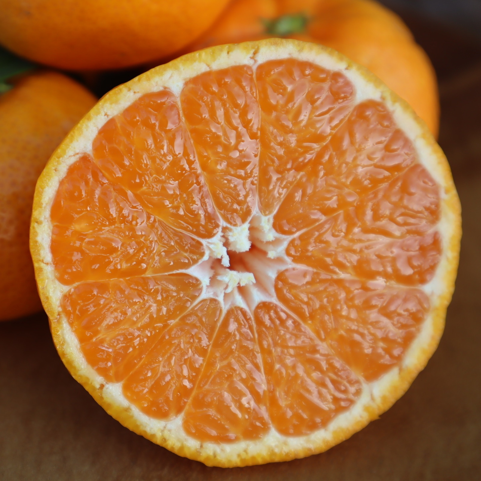 【doraemmm】サイズ2L以上のあまーい大きな温州みかん20キロ 倍量増量中！！サイズ2L以上のあまーい大きな温州みかん20キロ | 果物