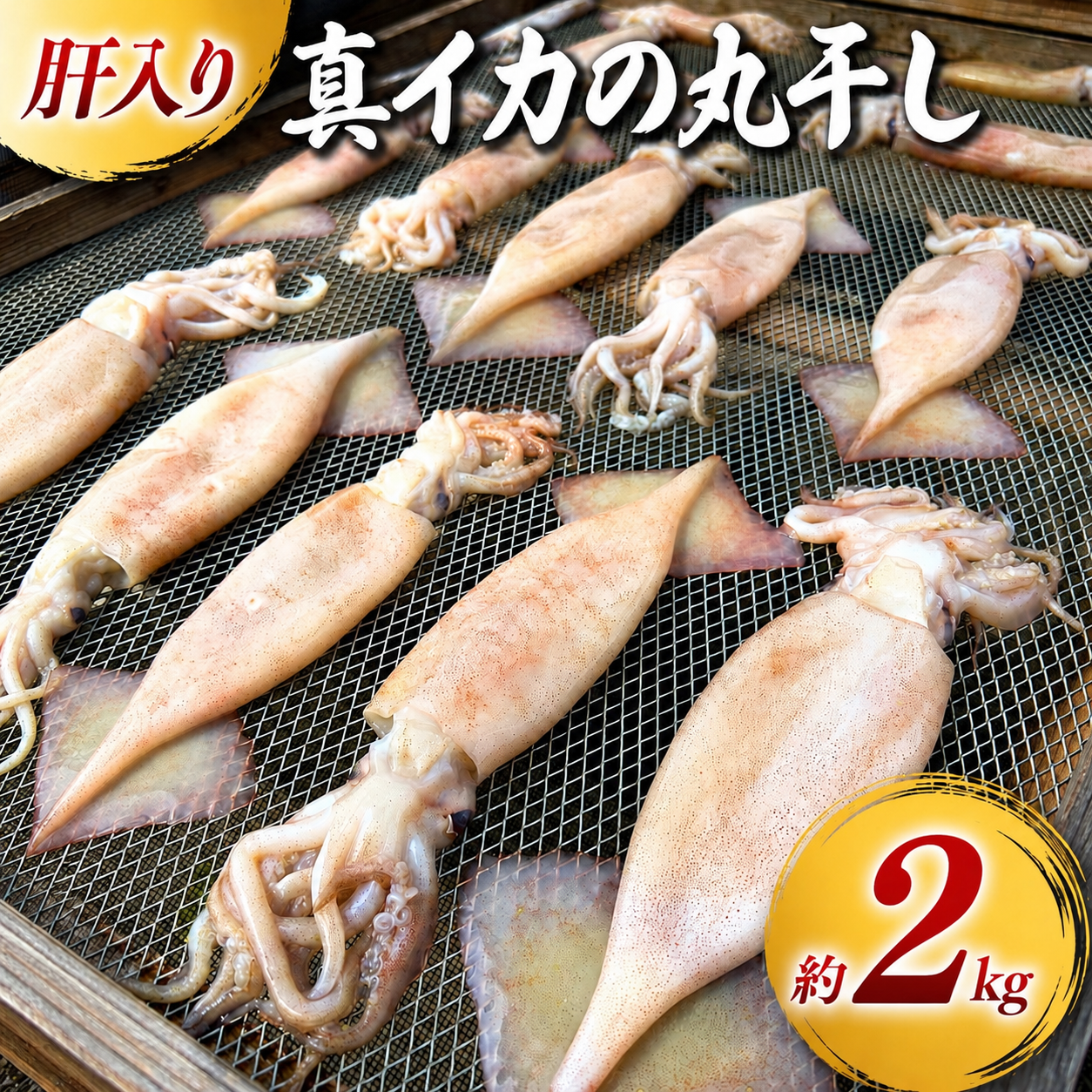 スルメイカの産地直送食材一覧（通販・お取り寄せ）-産直アウル