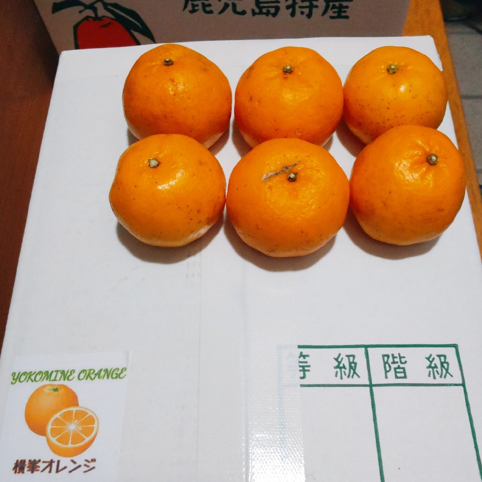 鹿児島県産「訳あり小さいポンカン」箱込み10kg | 果物/オレンジ