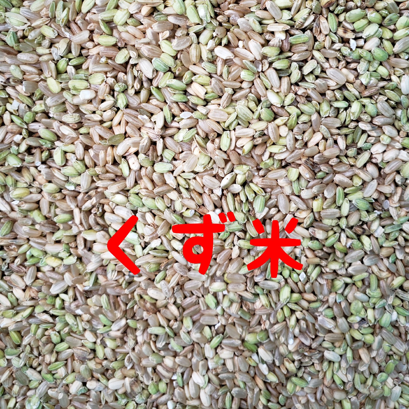 令和8年産 新米 高知産 コシヒカリ 飼料用米(くず米)25kg(袋込み