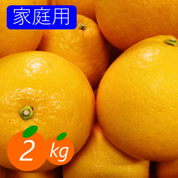 家庭用】河内晩柑 2kg 爽快 和製グレープフルーツ ｜ 果物/オレンジ