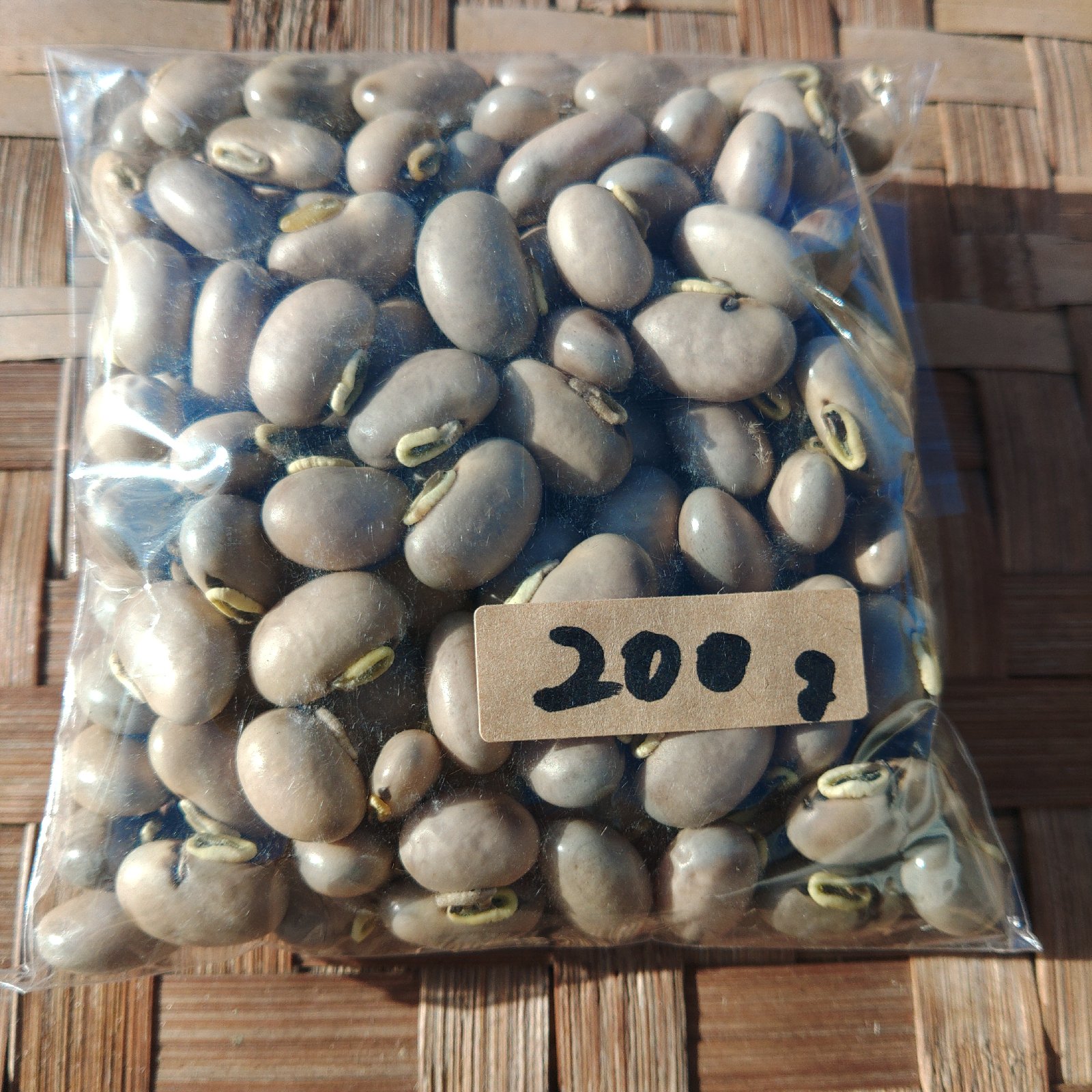 徳用！北原大自然農園の自然栽培ムクナ豆(八升豆)鹿児島産 ｜ 野菜