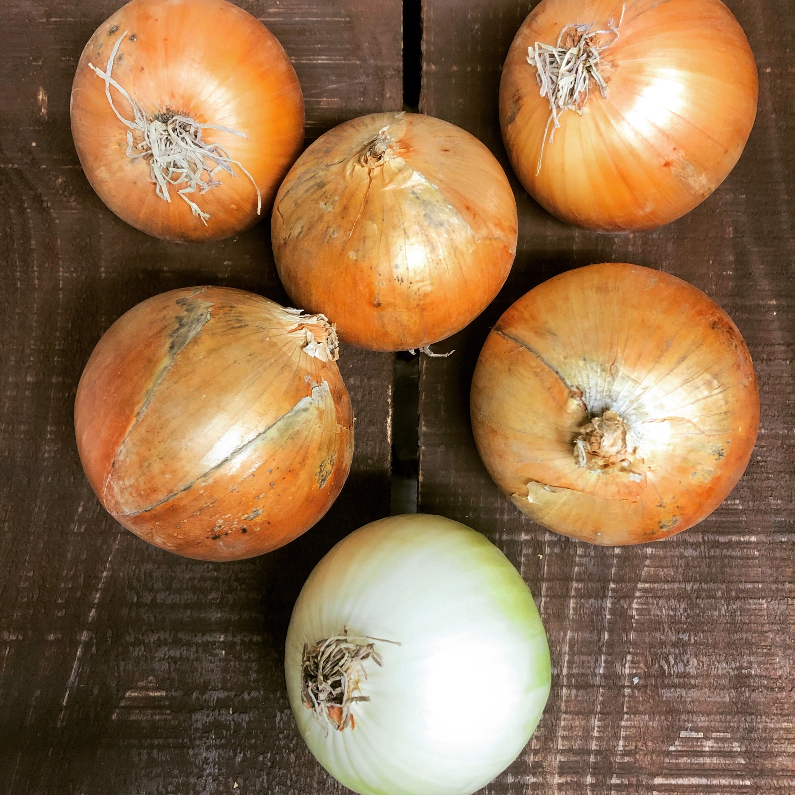 大容量北海道産玉ねぎS玉20kg ｜ 野菜/玉ねぎ 産直アウル 農家・漁師