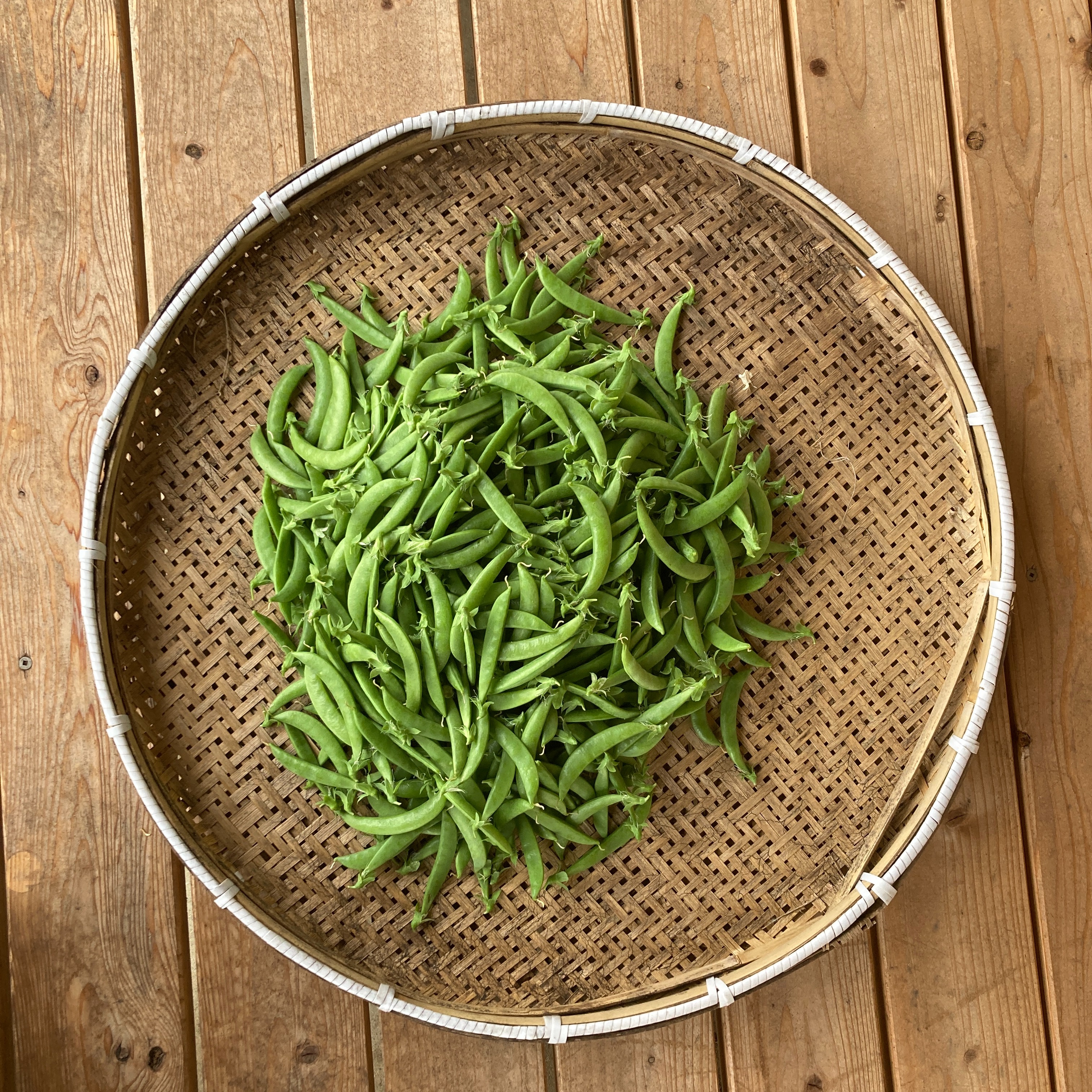 スナップエンドウ 箱込2kg ｜ 野菜/豆類 産直アウル 農家・漁師など