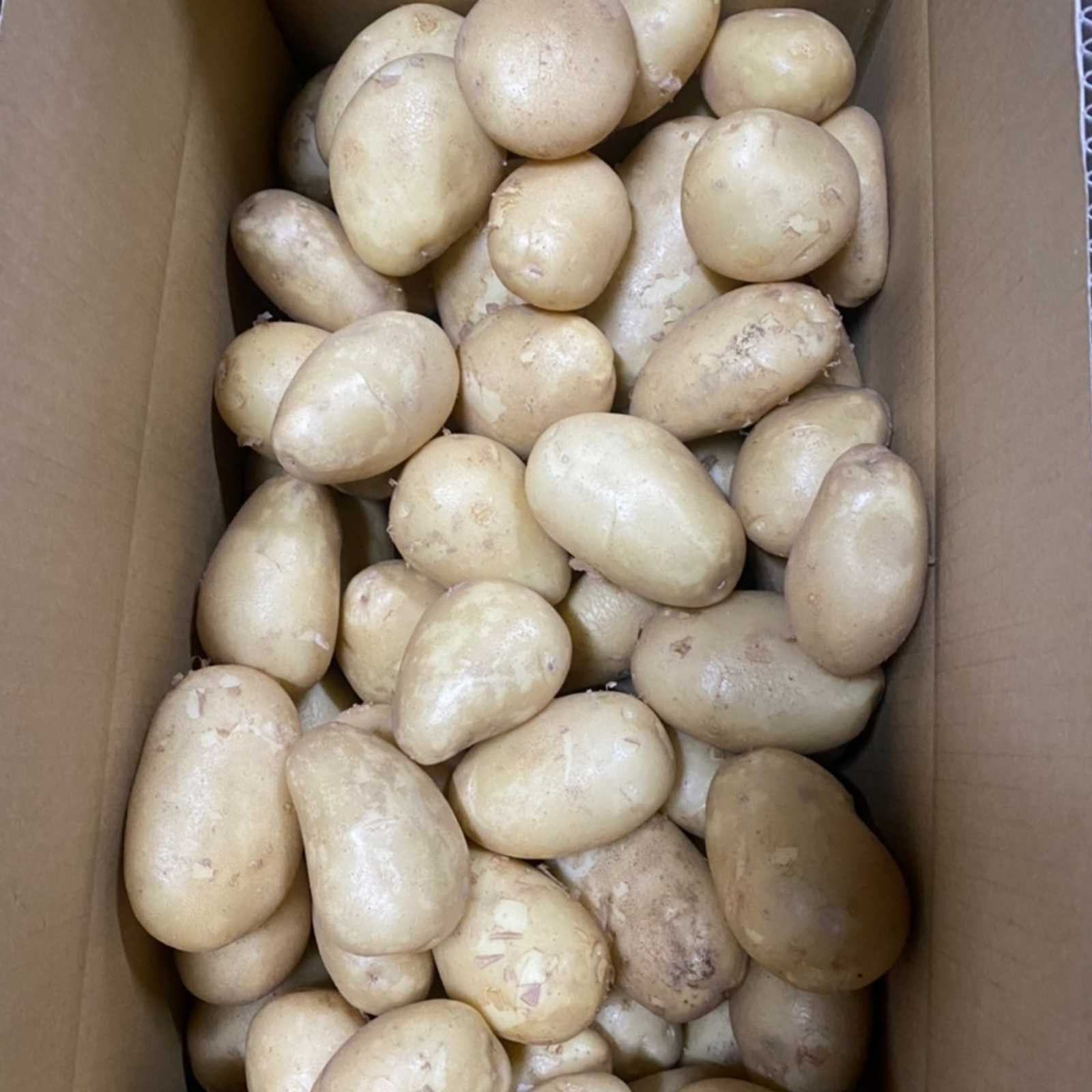 新じゃが箱込10kg】じゃがバター最強 掘りたてメークイン ｜ 野菜 
