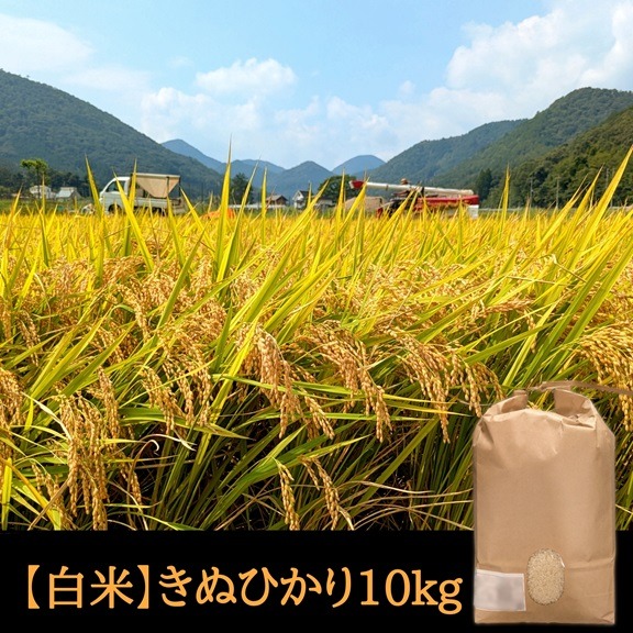 キヌヒカリの産地直送食材一覧（通販・お取り寄せ）-産直アウル