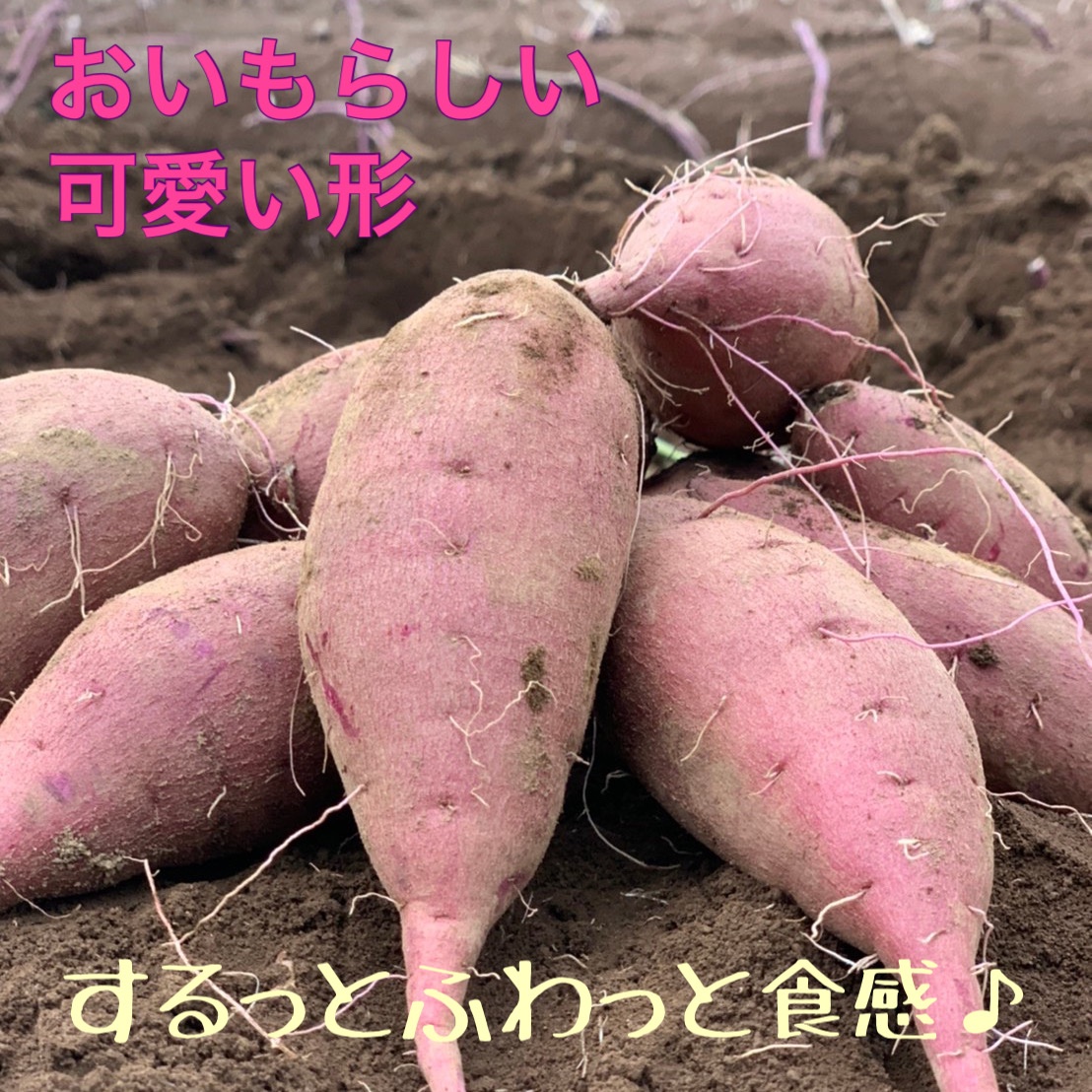 数量限定‼︎ 熟成 さつまいも シルクスイート A級 2kg ［送料こみ