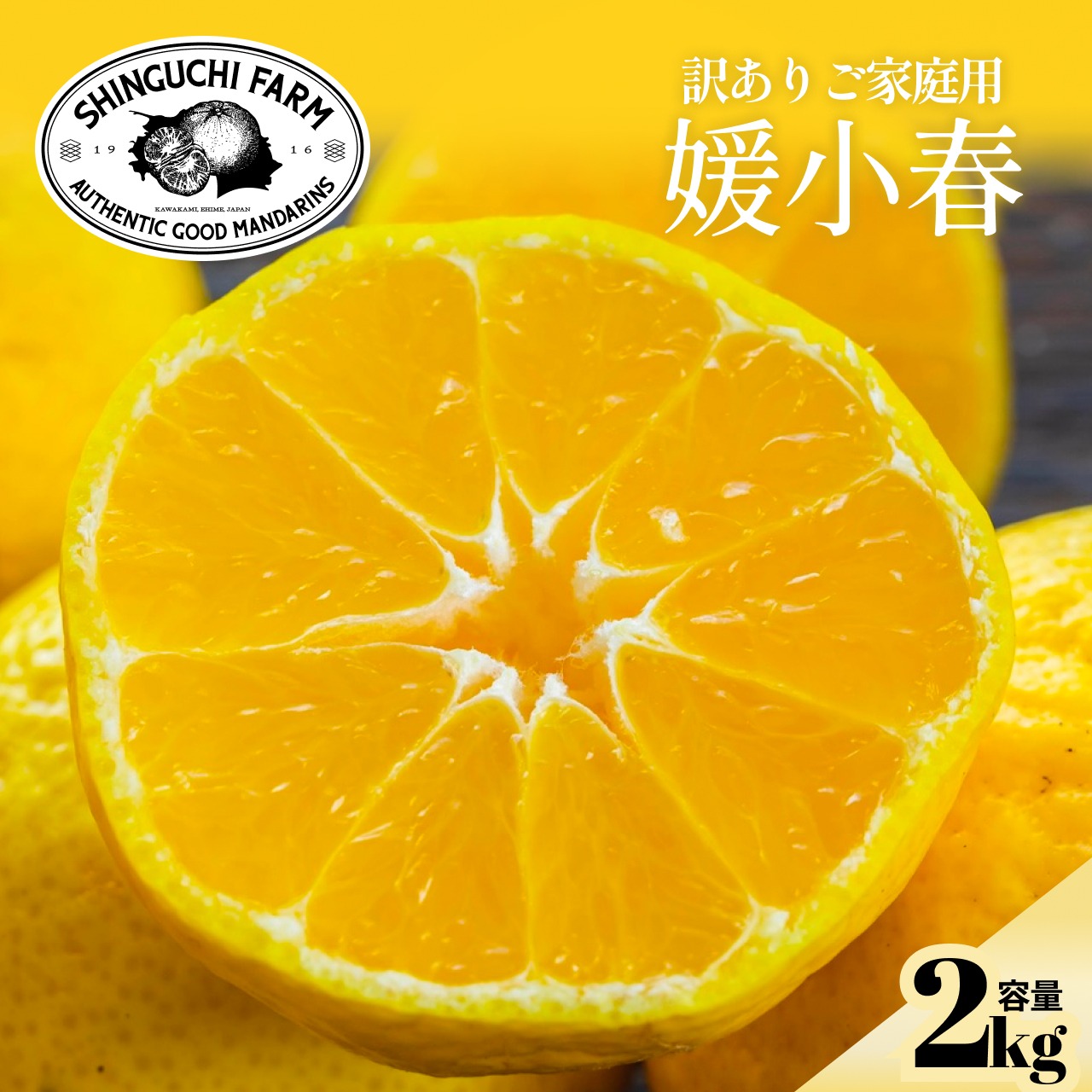 訳ありだけど美味しさそのまま】媛小春 2kg 愛媛県産 | 果物/オレンジ