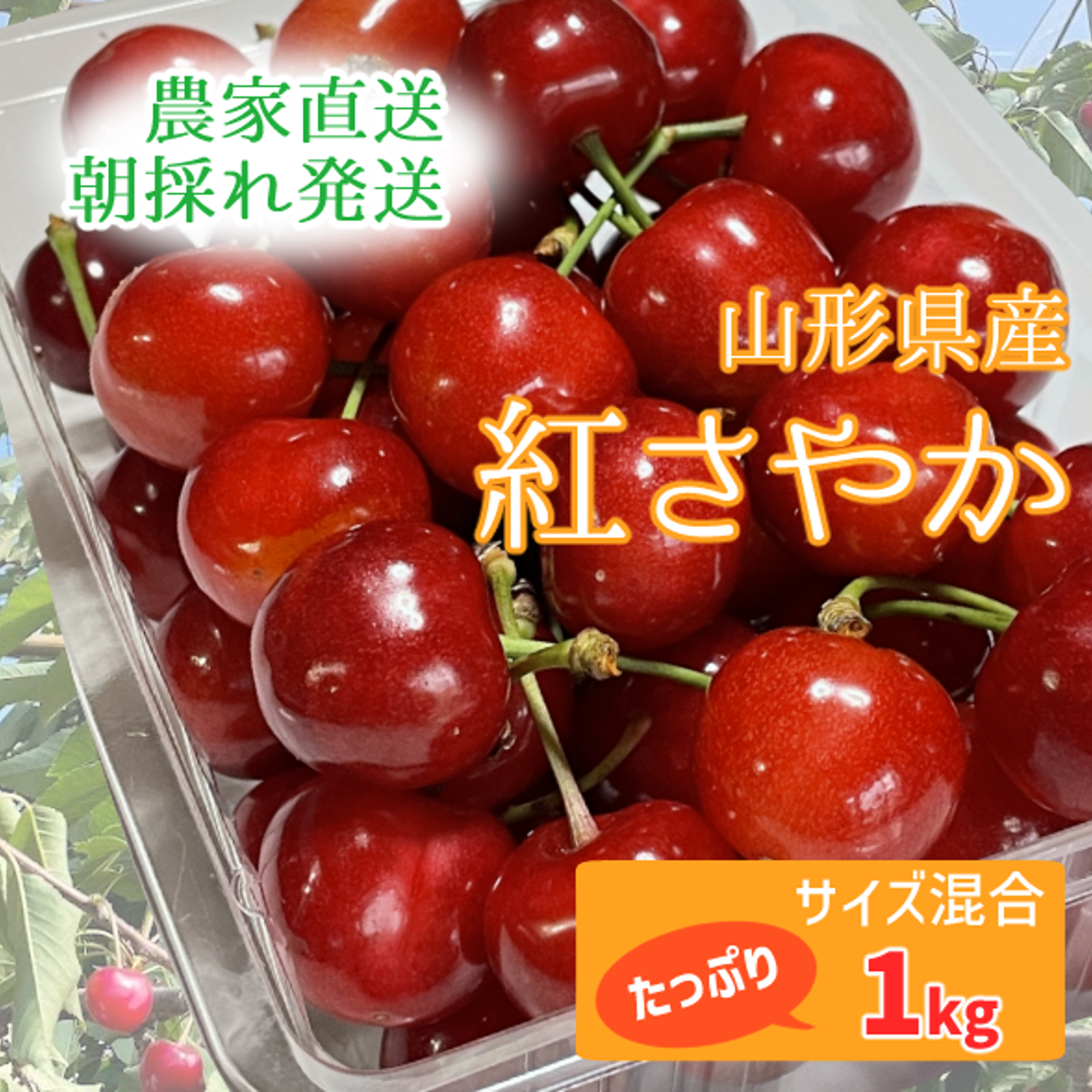 紅さやかの産地直送食材一覧（通販・お取り寄せ）-産直アウル