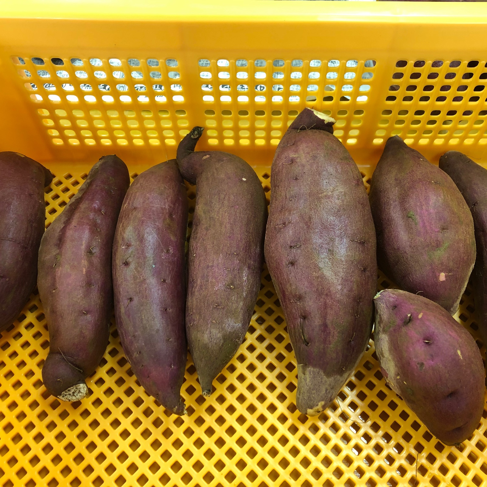 千葉県産　サツマイモ　シルクスイート　20kg サイズミックス sanchokudayori_4100922779