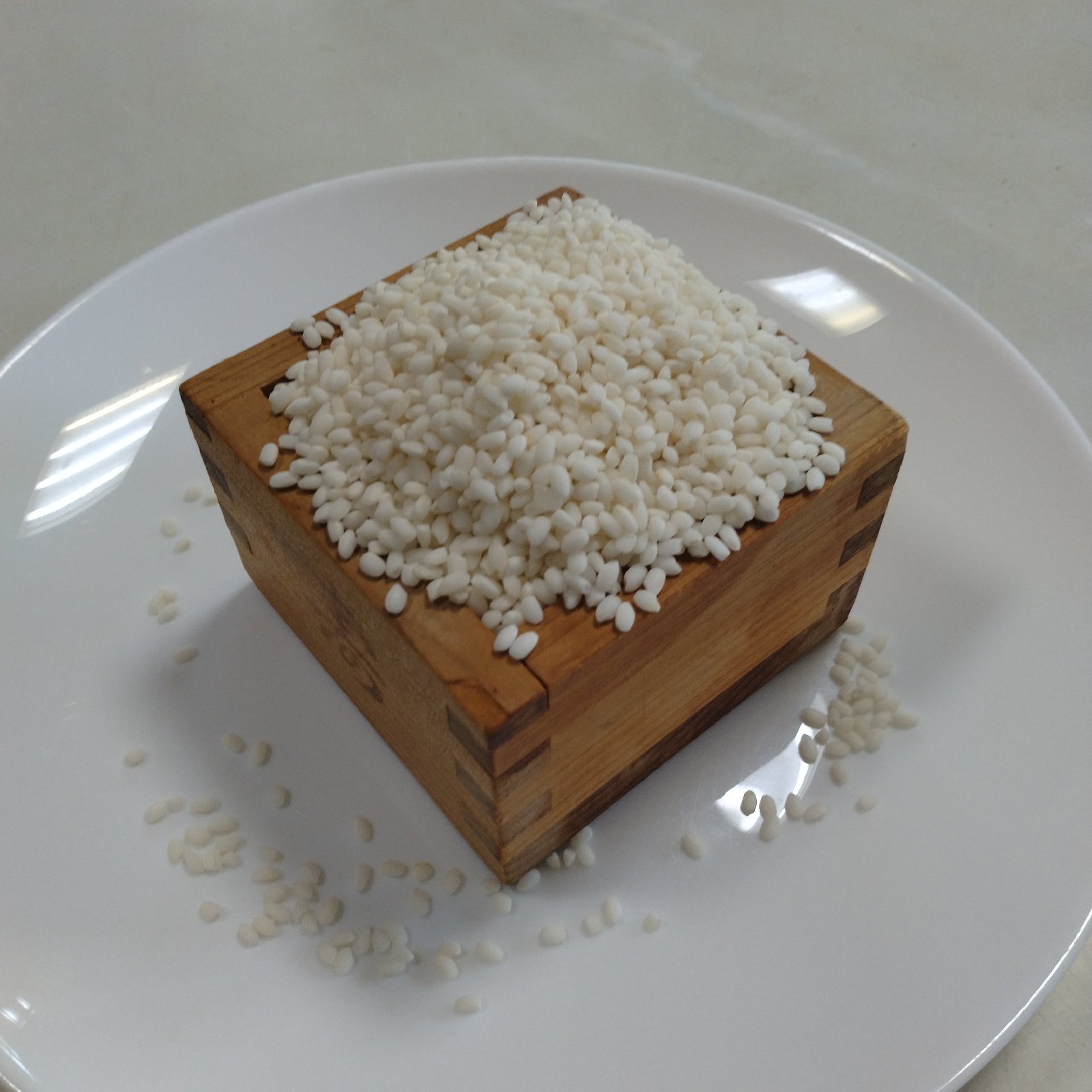 食品 岐阜県産 もち米（モチミノリ） 20kg 玄米