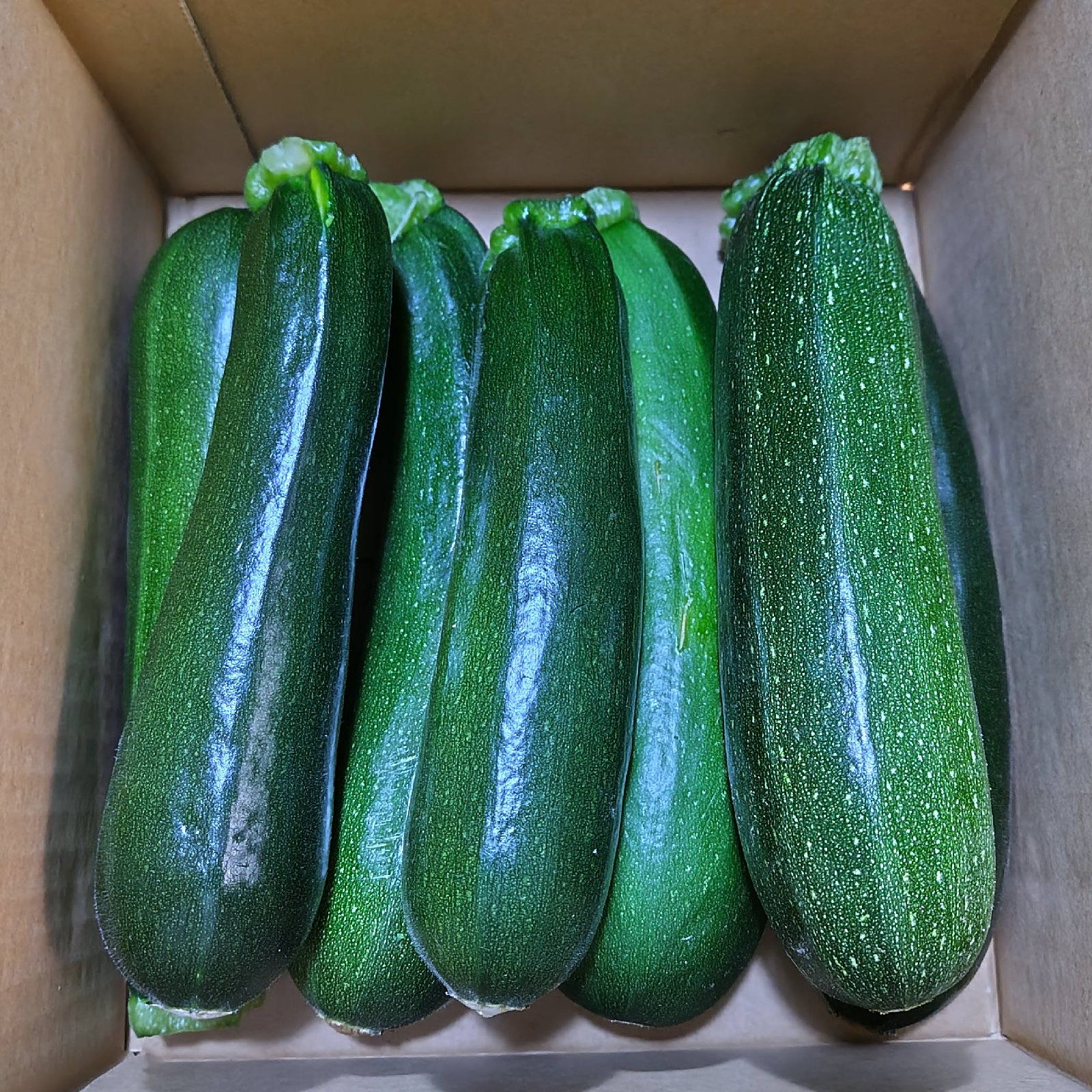 ズッキーニ　野菜　農薬不使用　農家直送 茨城県産 ズッキーニ 無農薬 | 野菜/ズッキーニ 産直アウル 農家