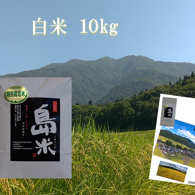 R7年産 幻の米 従来品種コシヒカリ 最上流の上級米白米10k ｜ 米・穀物
