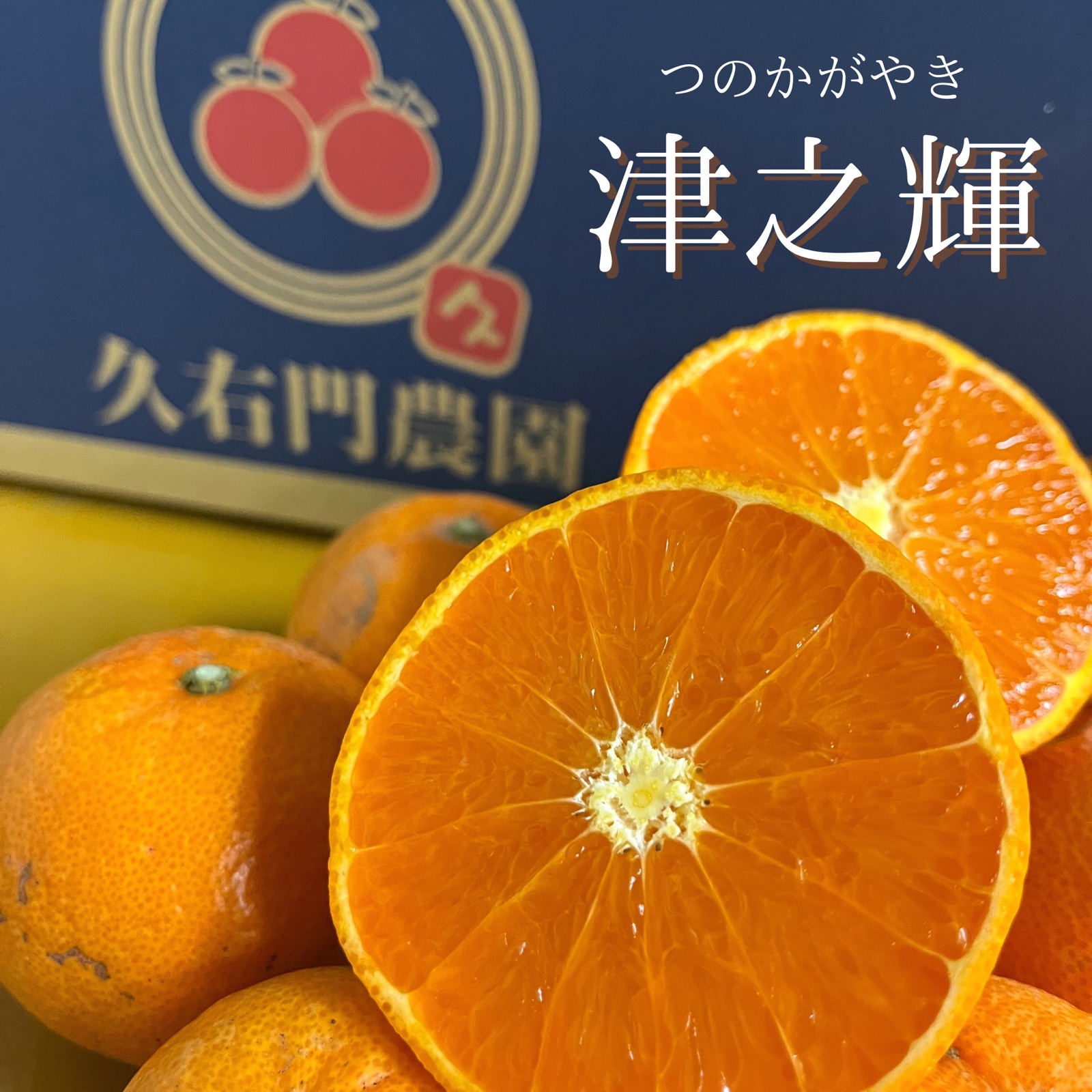 津之輝　Ｌ秀品 10キロ入 奄美大島産 | 津之輝(つのかがやき) 2.5kg/5kg/10kg【送料無料