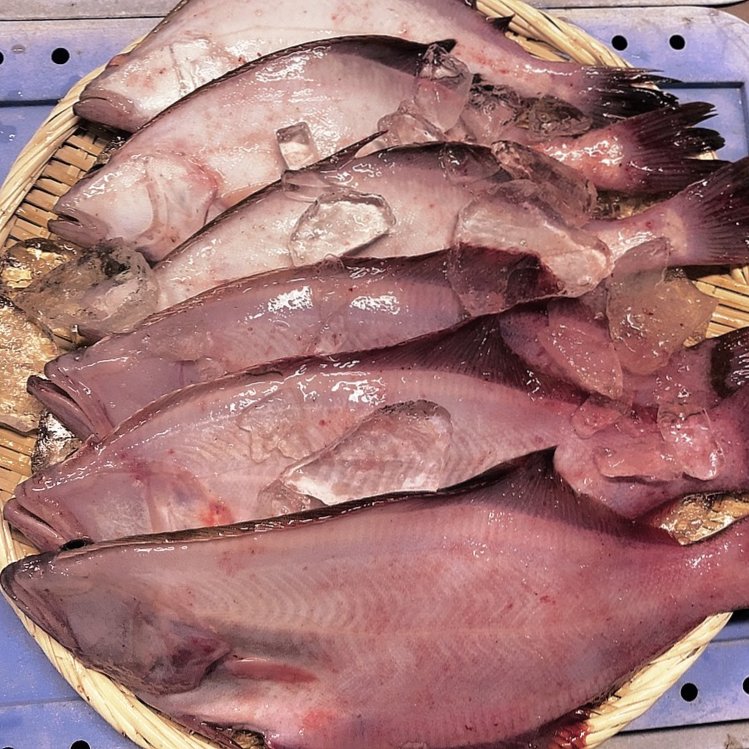 赤カレイと宗八カレイのセット 魚介類 セット 詰め合わせ 産直アウル 農家から直接野菜などの食材を購入できる産地直送の宅配通販サイト