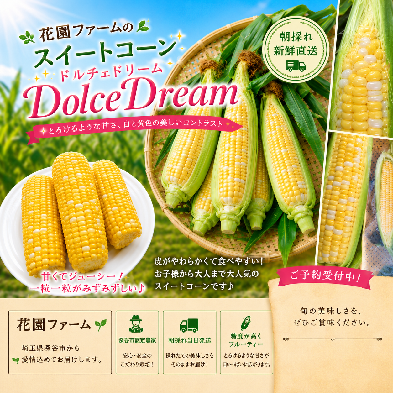 最高級品種！ドルチェドリーム LLサイズ 8本セット糖度17～18度