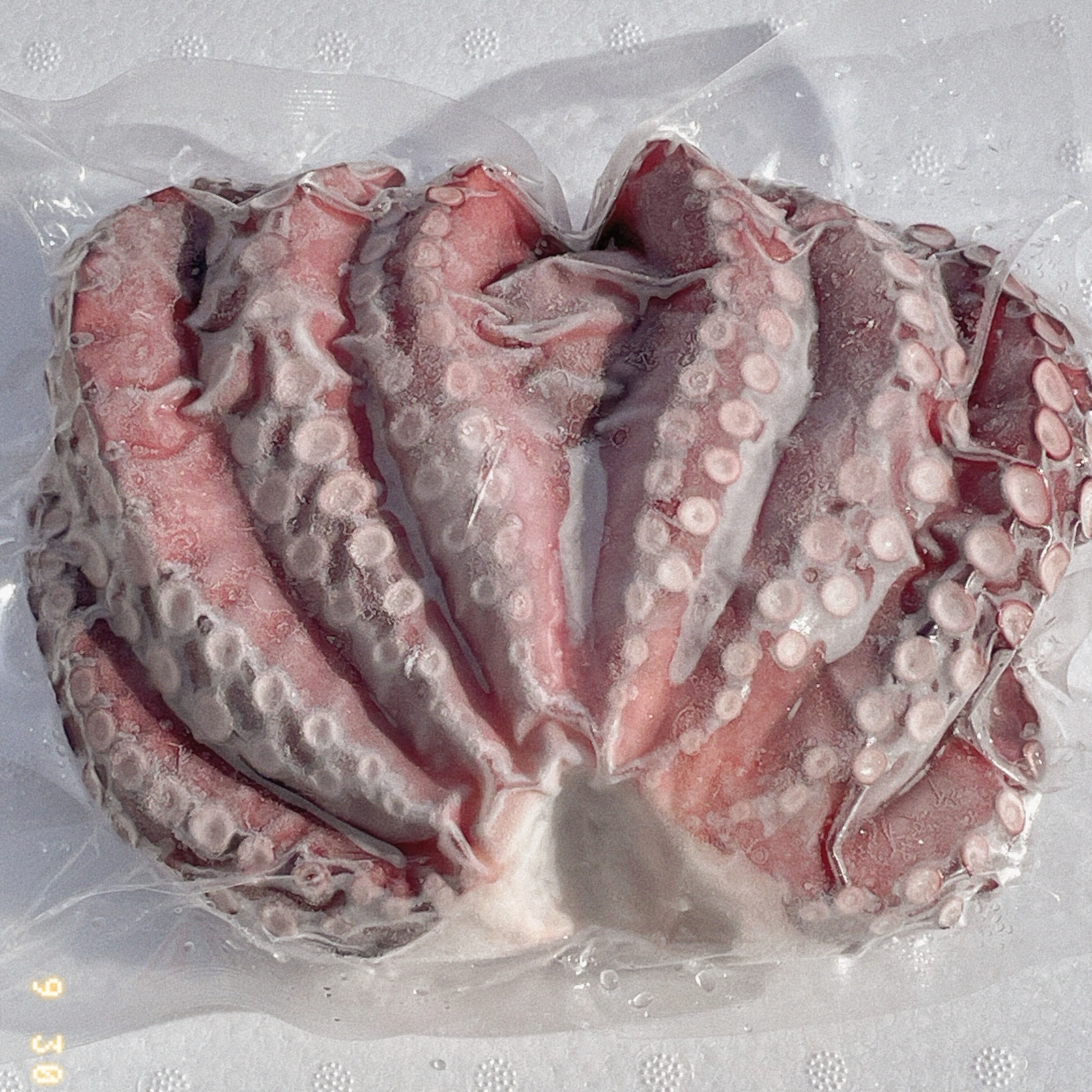 岩手県田野畑産】 蒸し真タコ 約3kg | 魚介類/タコ 産直アウル 農家