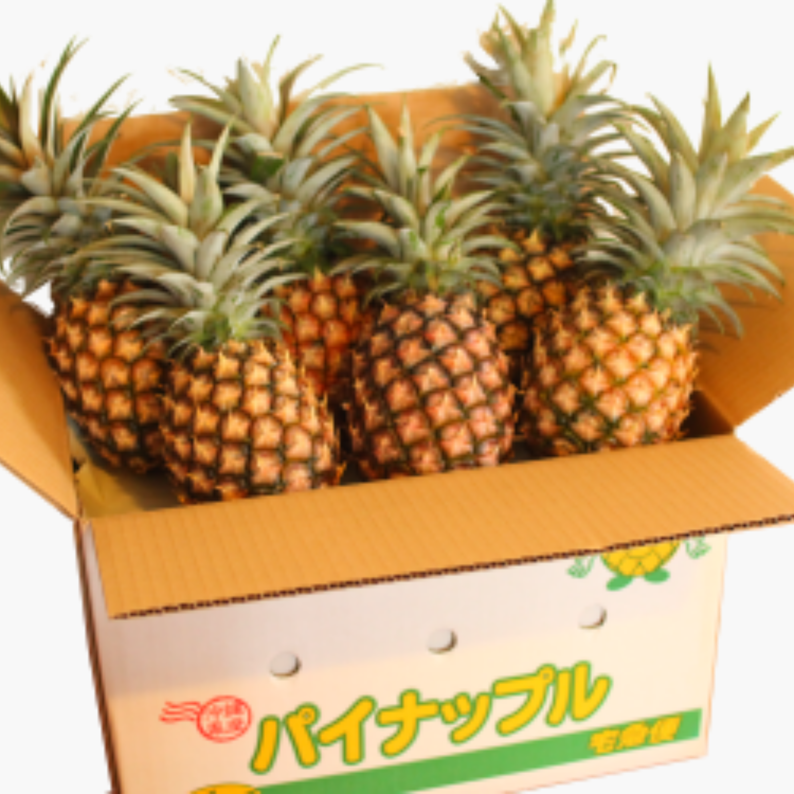 西表島産パイン】食べ比べセット ピーチ&スナック 6キロ 西表島産
