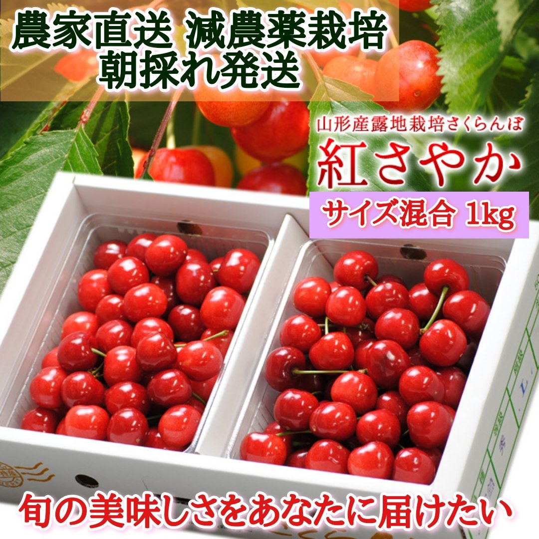 山形県産 紅さやか 1キロ MLサイズ混合 山形県産 紅さやか 1キロ MLサイズ混合 - メルカリ