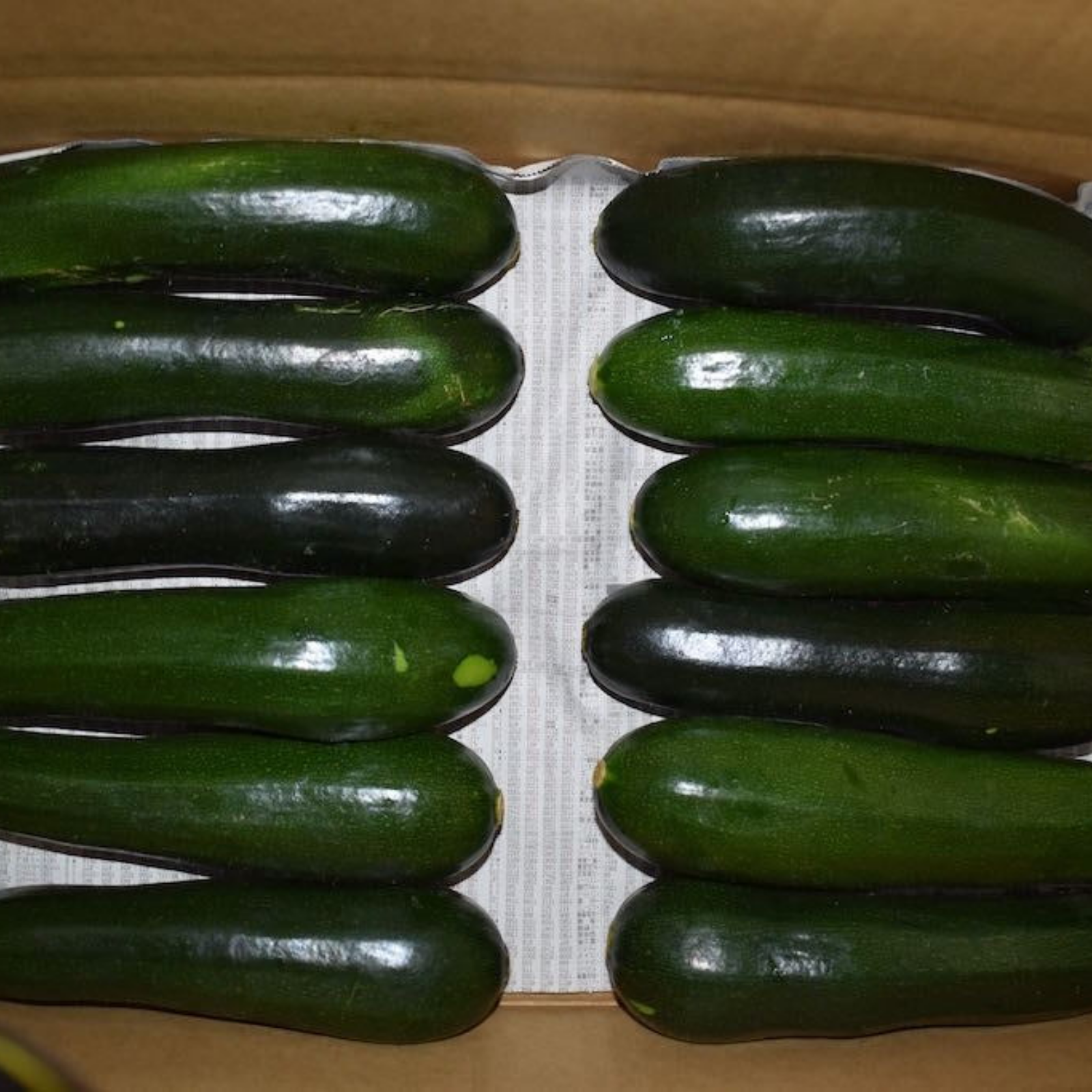 訳ありズッキーニ群馬県産（6kg） ｜ 野菜/ズッキーニ 産直アウル 農家