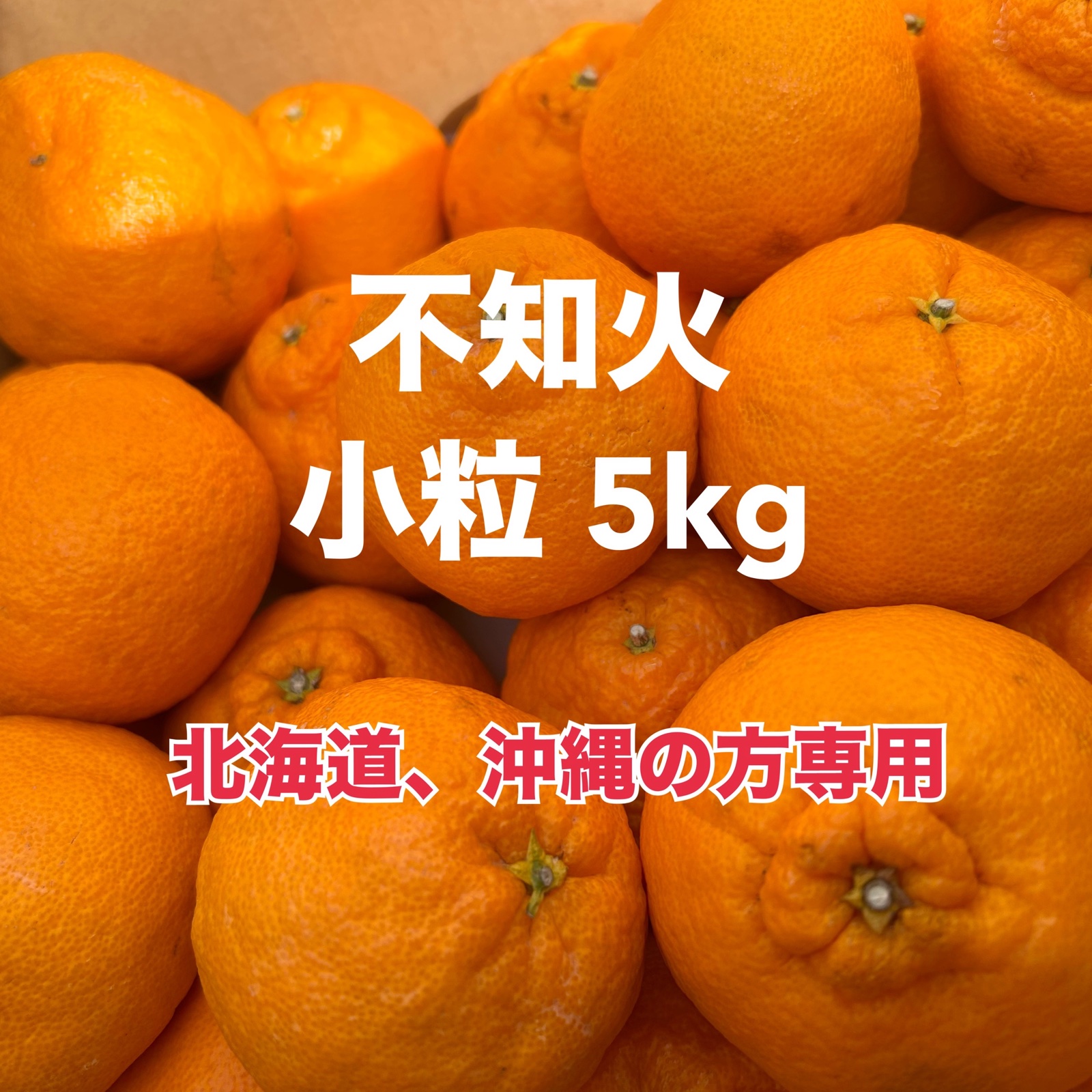 不知火(しらぬい) 小粒 5kg 農家直送?‍? 北海道沖縄の方専用 | 果物 