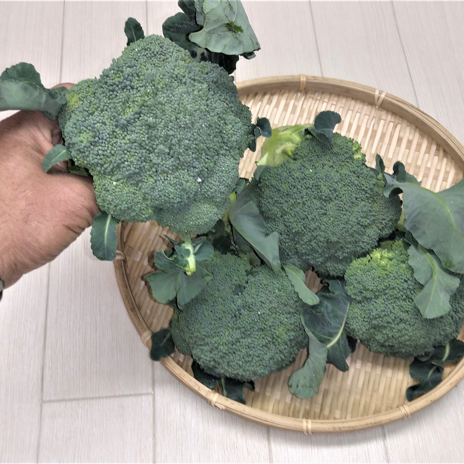 ブロッコリー4本セット 農薬不使用栽培野菜 ｜ 野菜/ブロッコリー 産直 