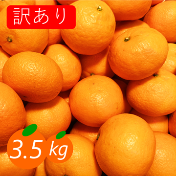 訳あり】カラマンダリン 3.5kg 春みかん 濃厚な味わい 愛媛みかん