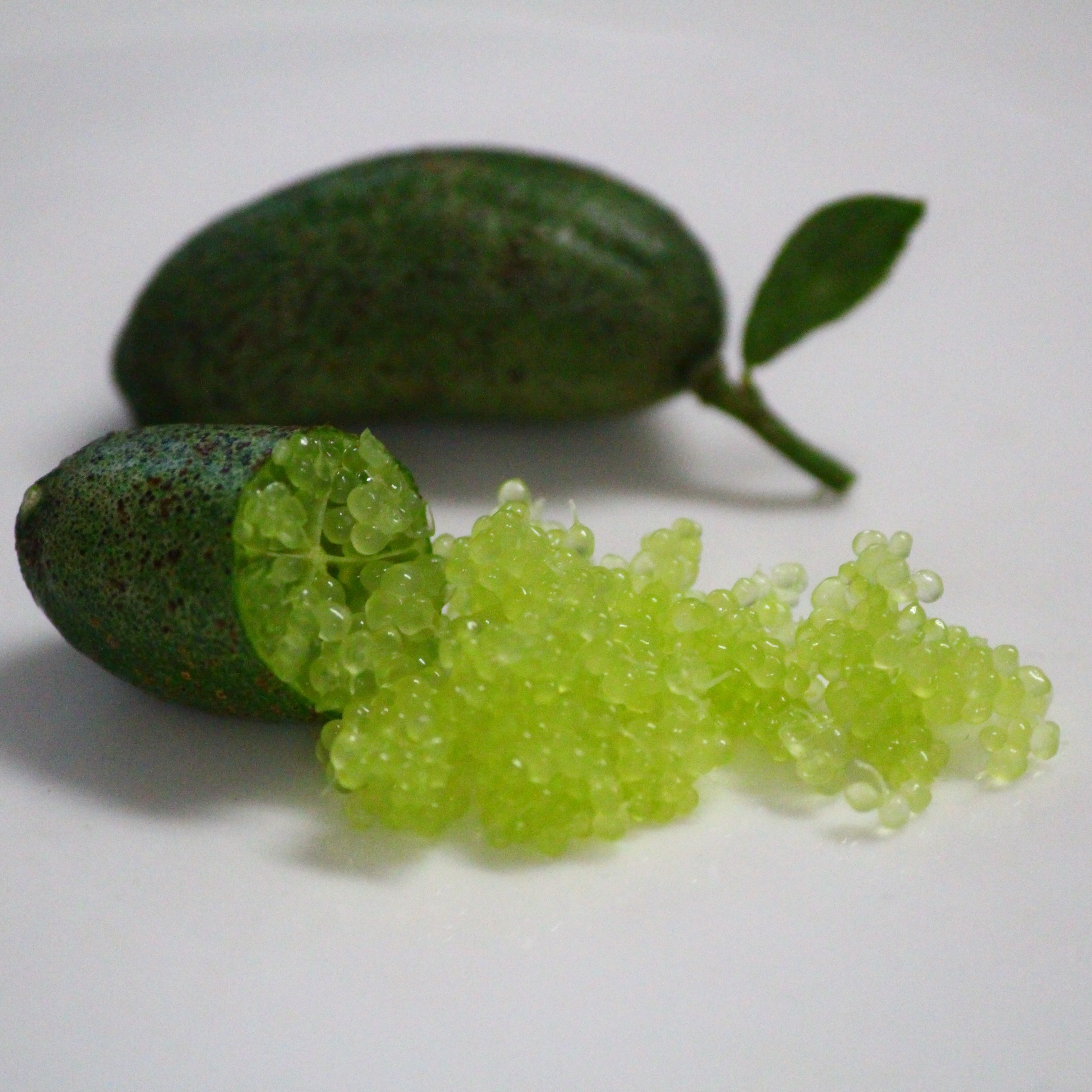 フィンガーライム　果実　ネコポス入るだけ　1kg以上　柑橘　レモン　ライム