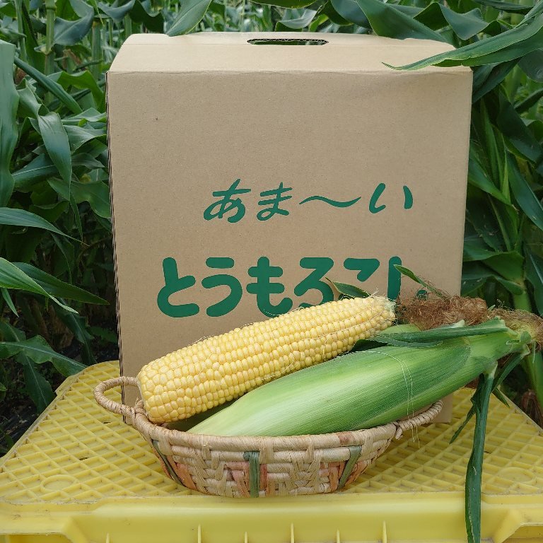 サニーショコラの産地直送食材一覧（通販・お取り寄せ）-産直アウル