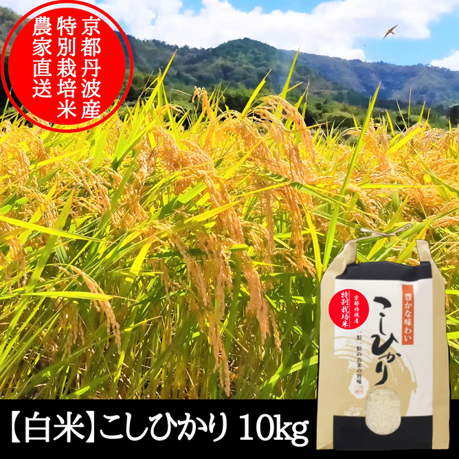 白米】 10kg コシヒカリ 特別栽培米 こしひかり 京都府産 | 米・穀物