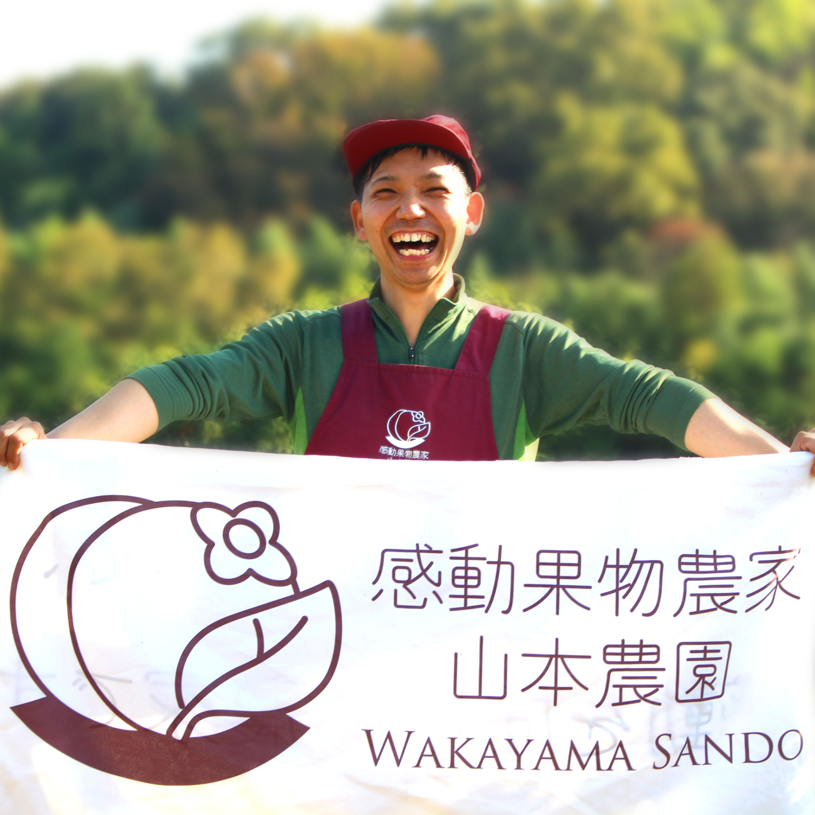 和歌山山本農園 感動果物農家山本農園（和歌山県・和歌山市）｜生産者詳細｜産直アウル