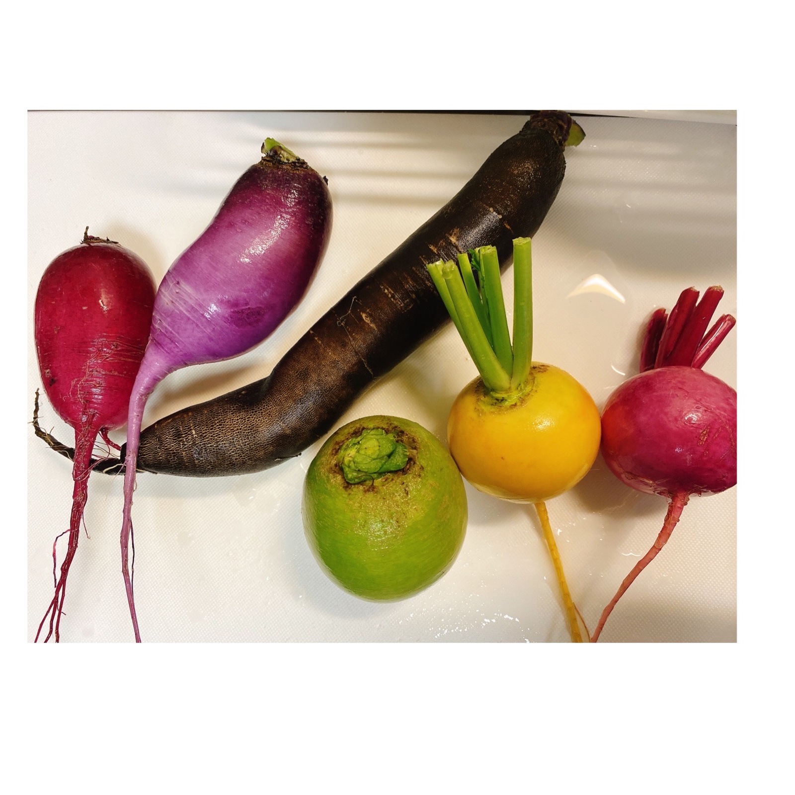 体が元気になる！カラフル大根とカブのセット ｜ 野菜/野菜セット 