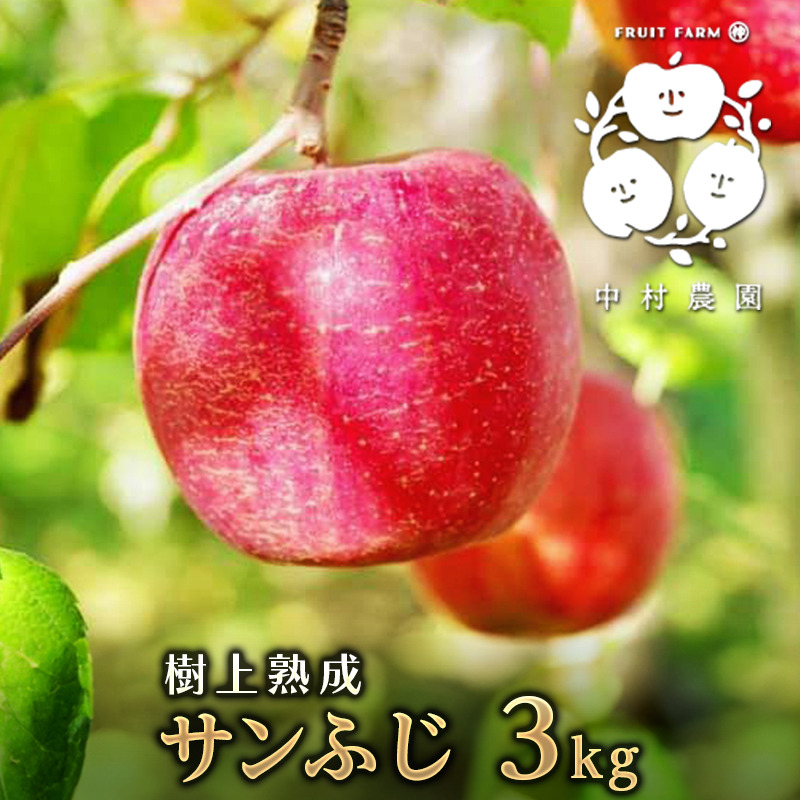 2026年産 樹上熟成 サンふじ 3kg ｜ 果物/りんご 産直アウル 農家