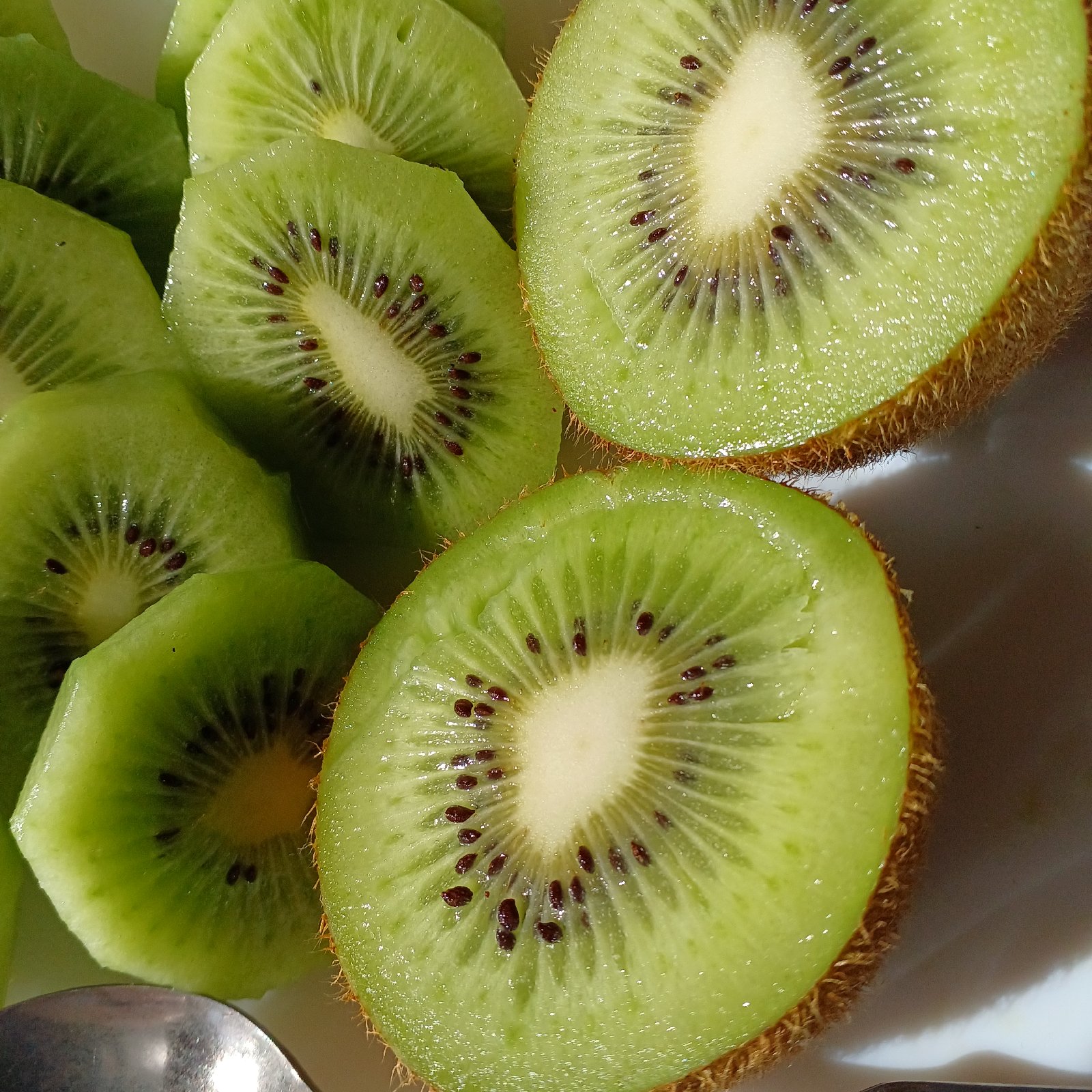 9732a6ab65b132100fdd6d23311319