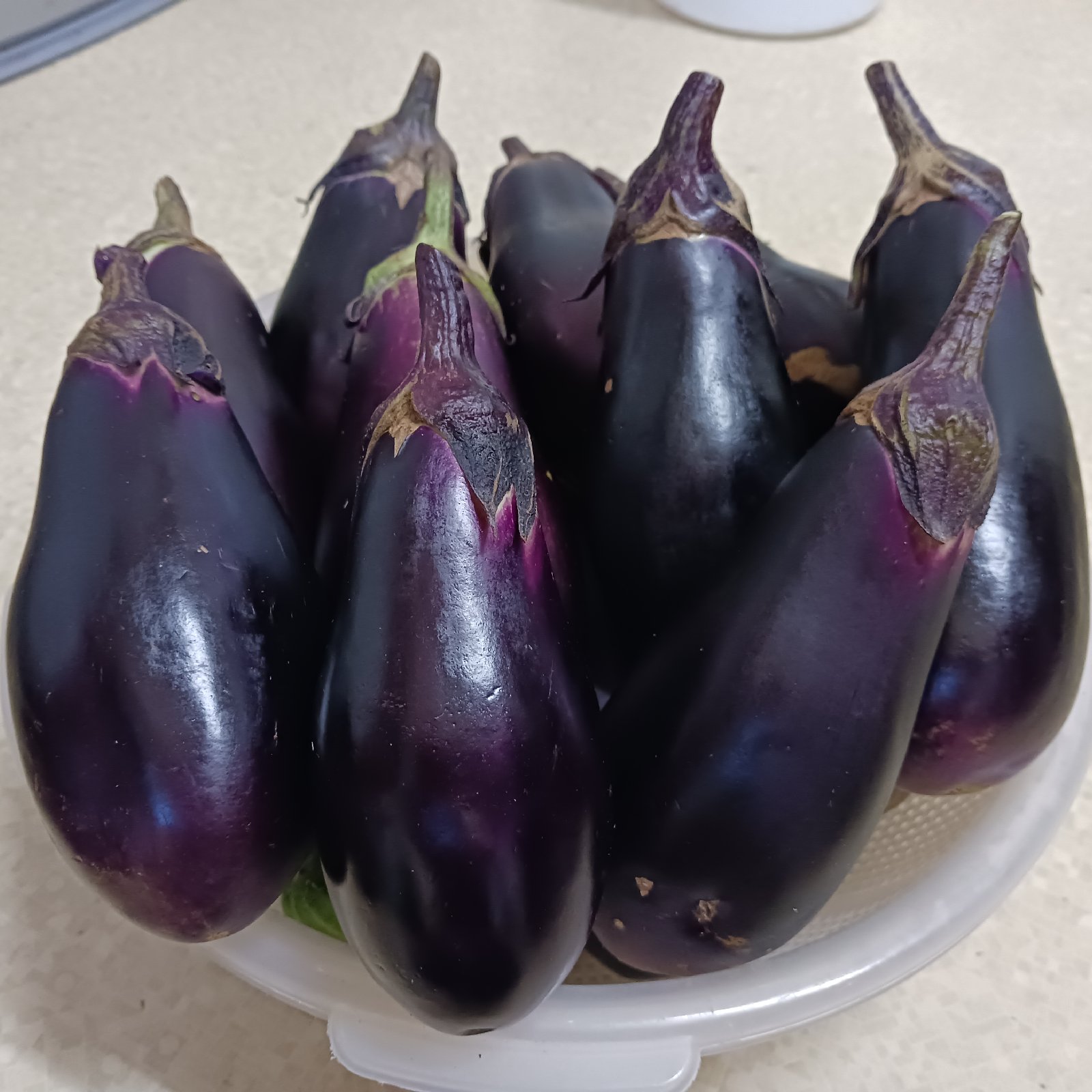 こどもあぐりの秋茄子 | 野菜/茄子 産直アウル 農家から直接野菜などの