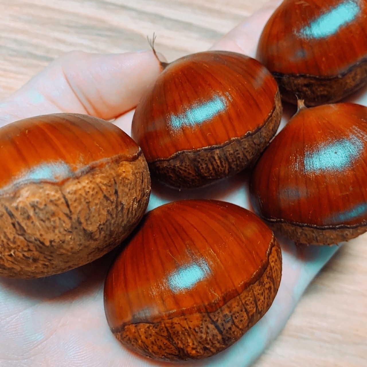 熊本県産』和栗 生栗 栗 採れたて！農薬不使用！ | 果物/栗 産直アウル