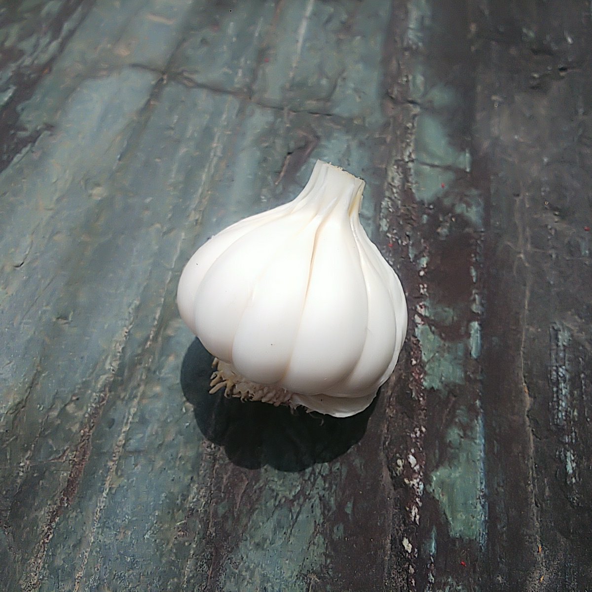 【たー】生にんにく　9kg 愛知県産 今が旬の生にんにく 1.5kg～1.6kg（20個サイズ不揃い） | 野菜